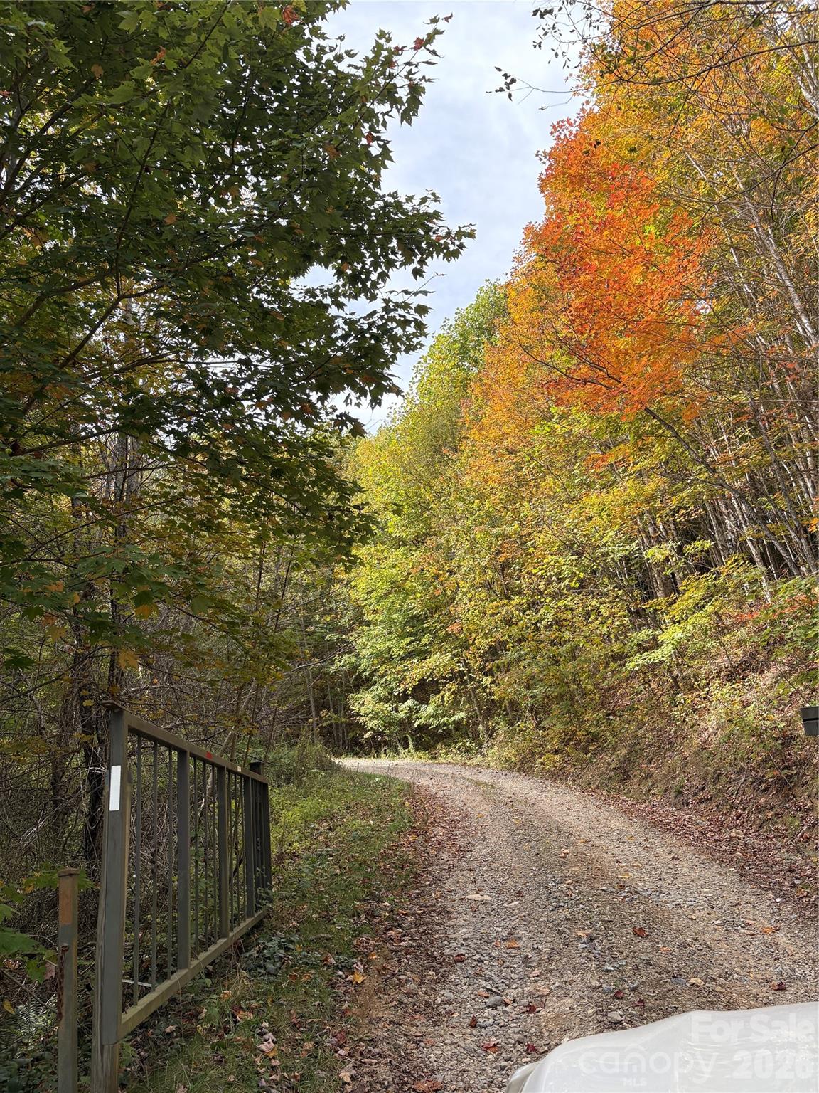 Turkey Trot Farms - Land