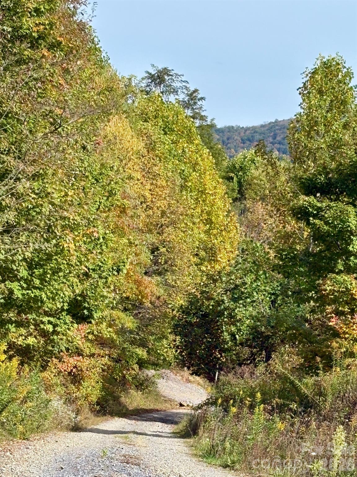 Turkey Trot Farms - Land