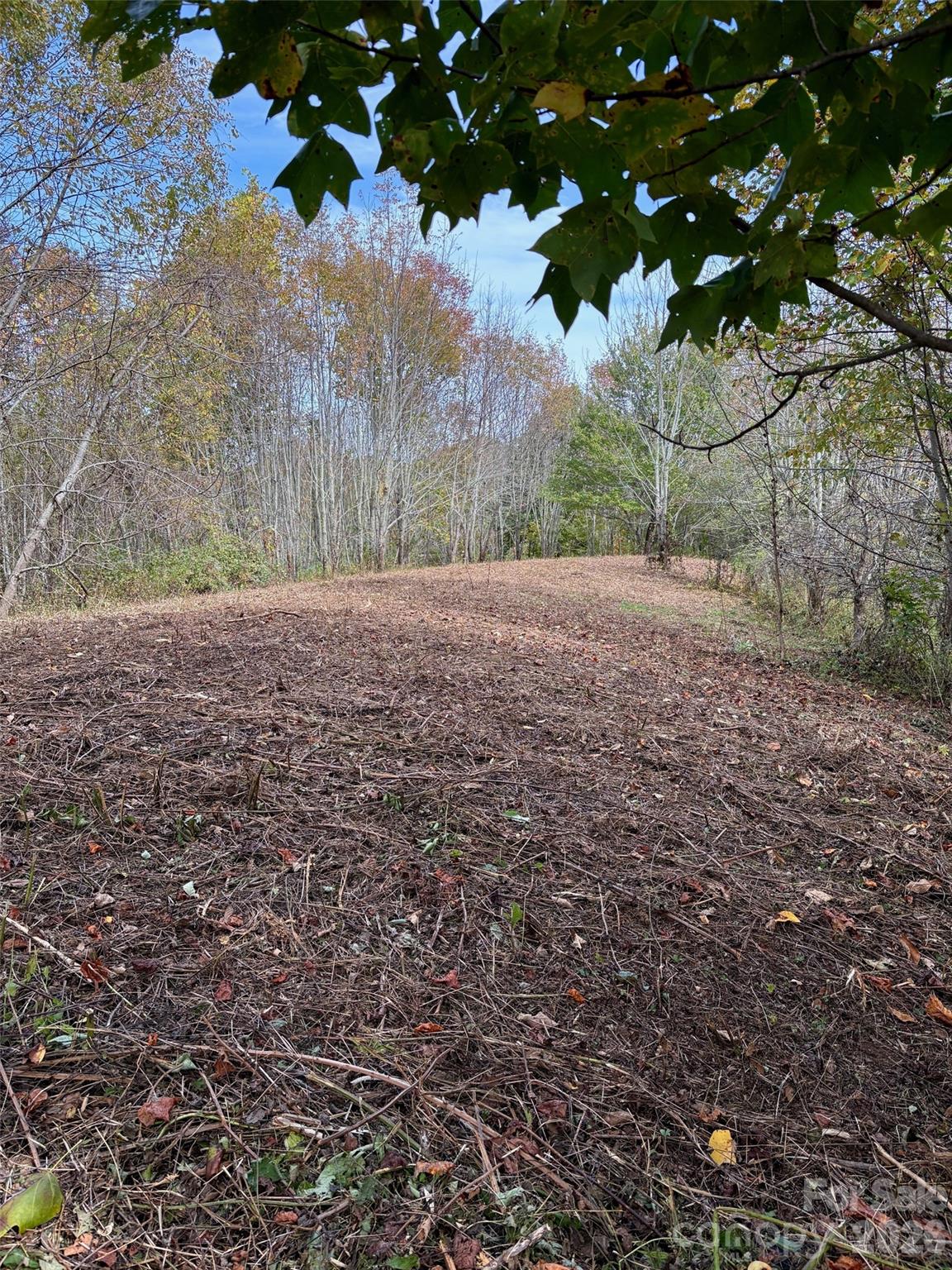 Turkey Trot Farms - Land