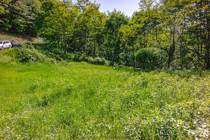 Turkey Trot Farms - Land