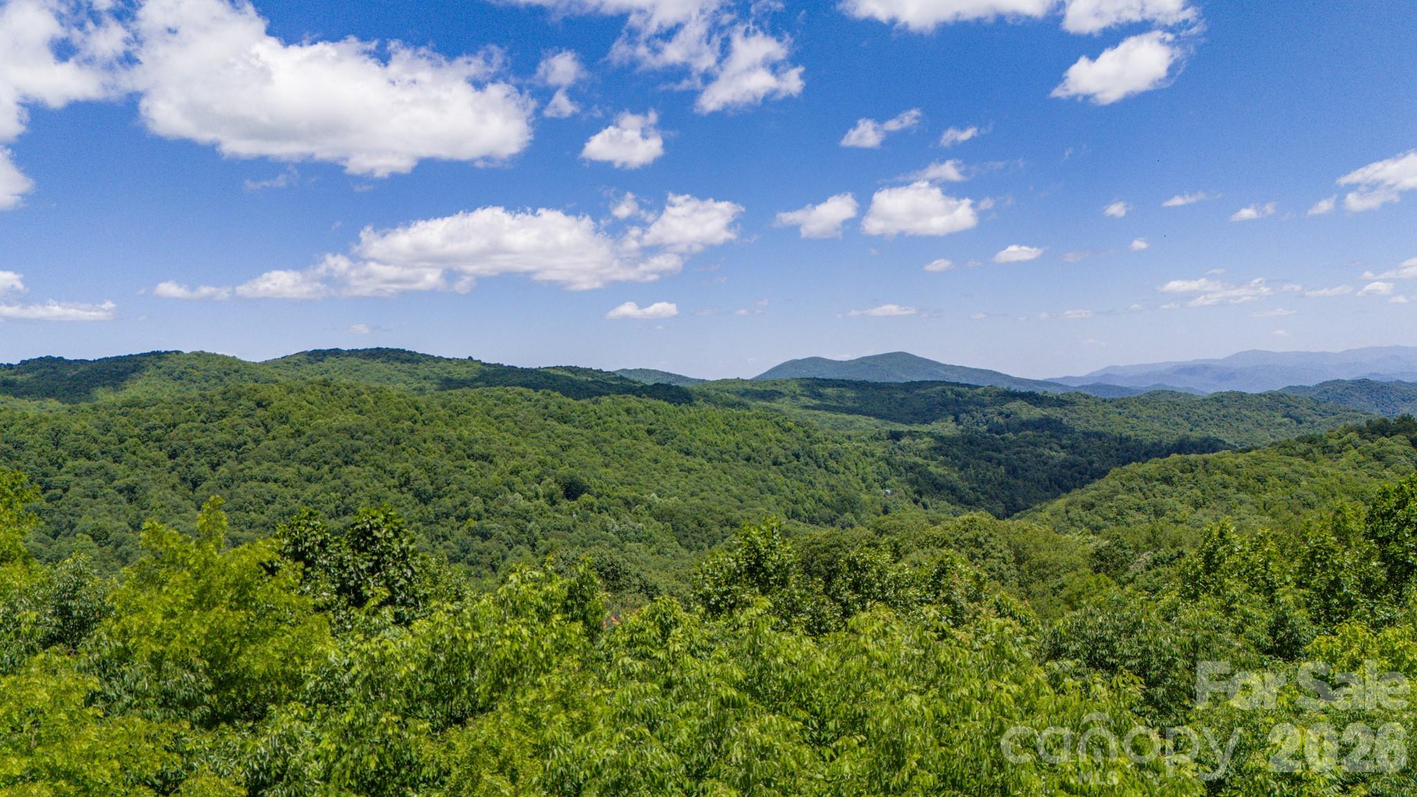 Turkey Trot Farms - Land