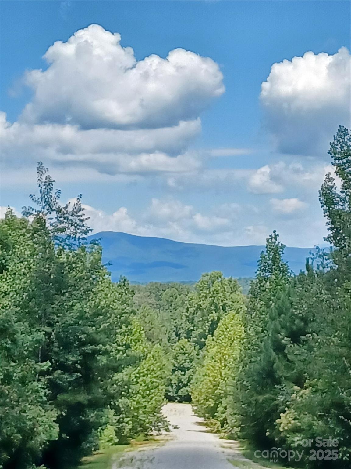 Blackberry Creek - Land