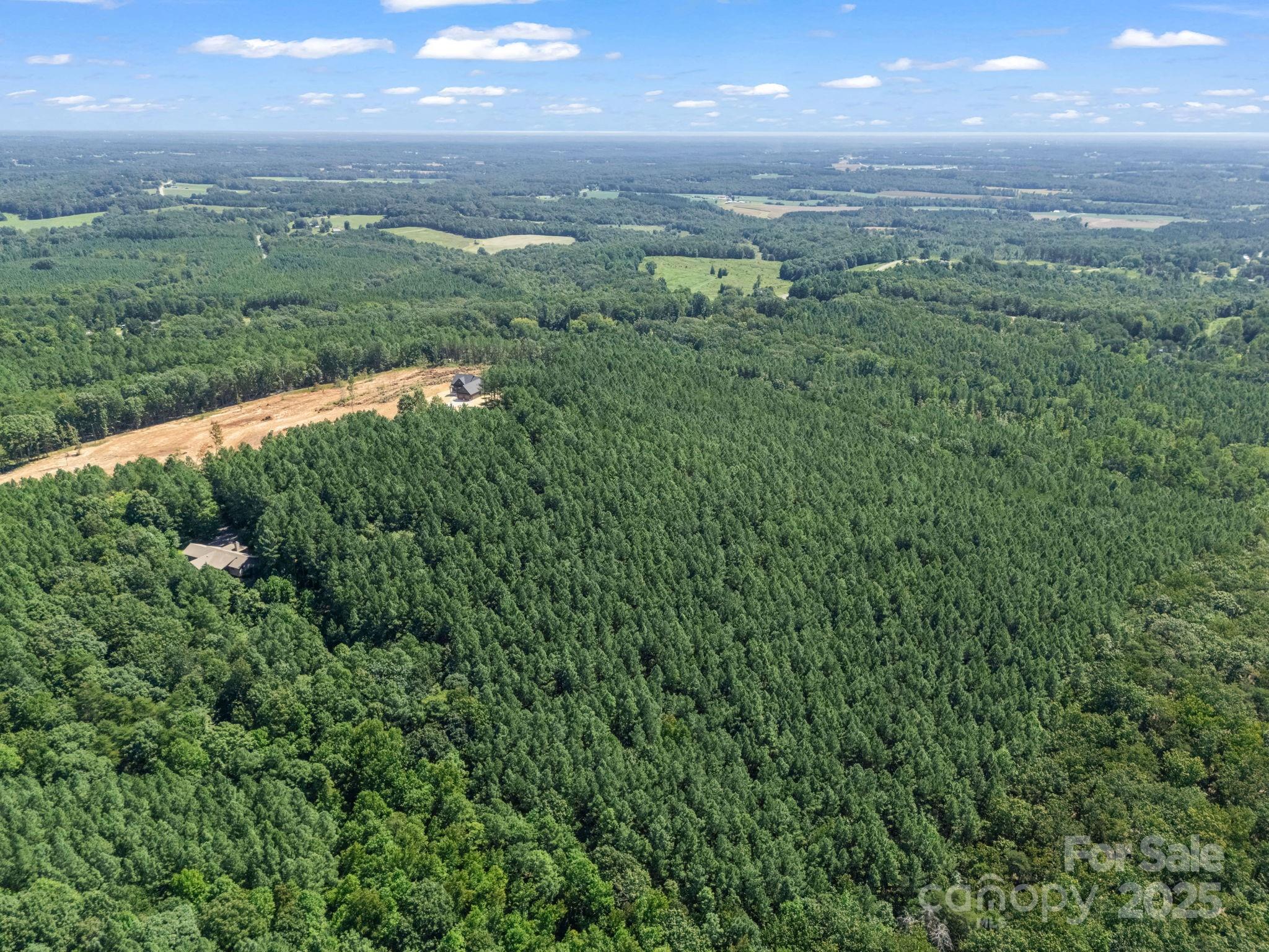 Moore Mountain Farms - Land