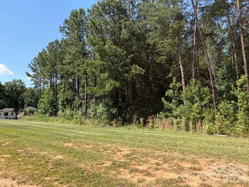 Rare opportunity to build your dream home on this expansive 1.11-acre corner lot nestled in the established Shepherds Trace community of highly sought-after Clover, SC. With its generous size and ideal topography, this lot is perfectly suited for a foundation or basement build — offering the space and elevation to maximize your home's potential from the ground up. Minimum 2200 sq ft build ensures a quality neighborhood you'll be proud to call home.
Zoned for the award-winning Clover School District, this property is an exceptional choice for families looking to put down roots in one of York County's most desirable communities. Enjoy the best of Lowcountry living just minutes from the stunning shores of Lake Wylie — perfect for boating, fishing, and waterfront dining — while remaining a convenient commute to the Charlotte metro area.
Don't miss your chance to secure this well-positioned lot in a growing market. Whether you're a builder, investor, or buyer ready to design from scratch, 315 Grassy Ridge Court checks every box.