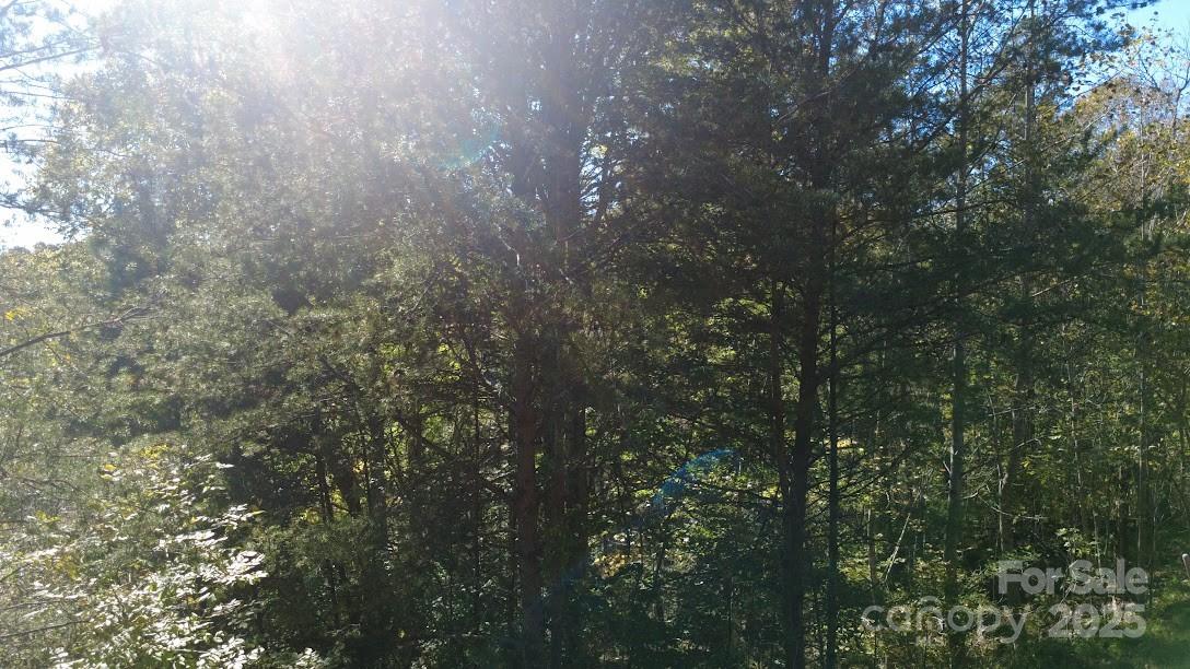 Clearwater Creek - Land