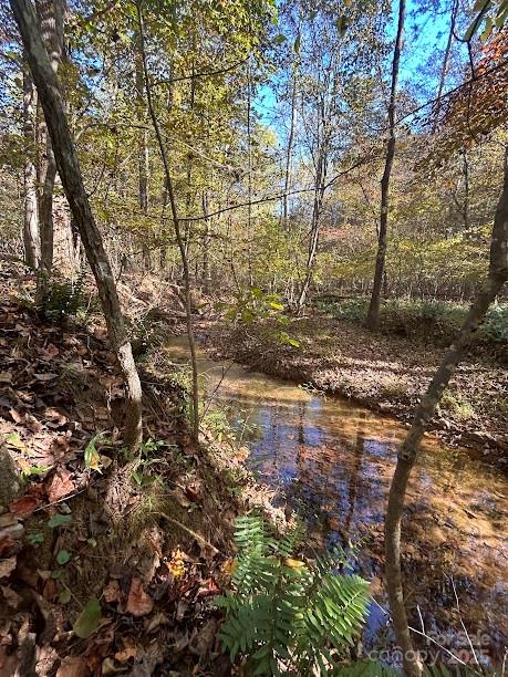 Clearwater Creek - Land