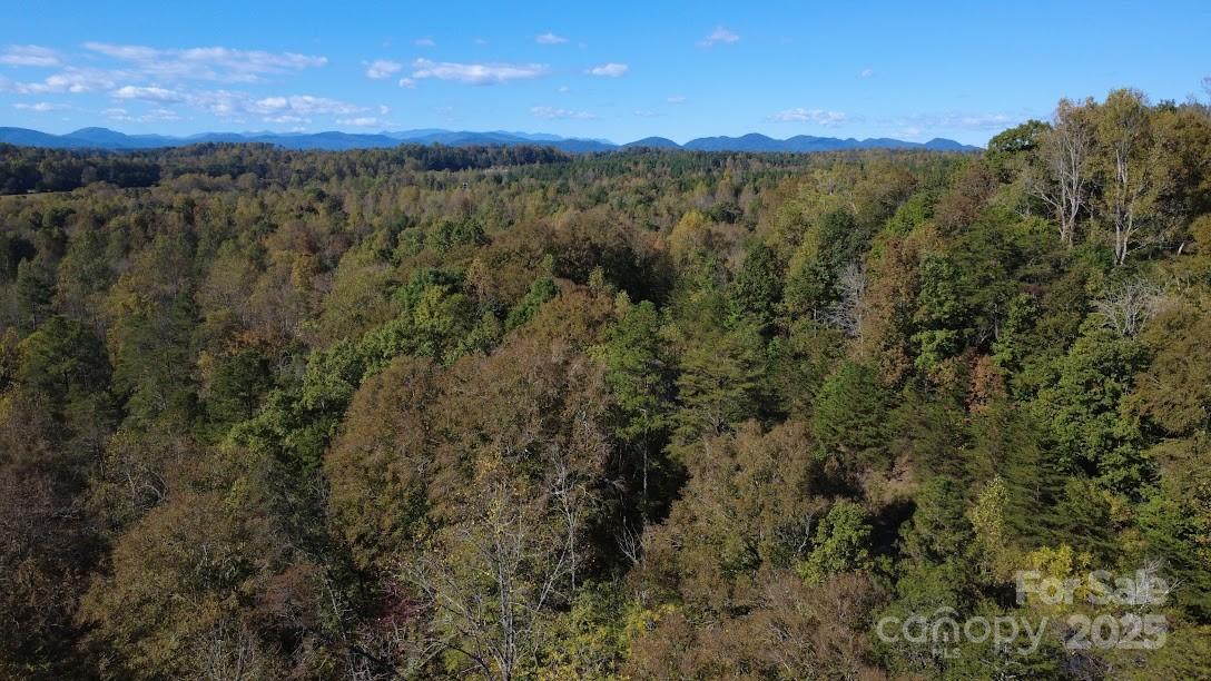 Clearwater Creek - Land