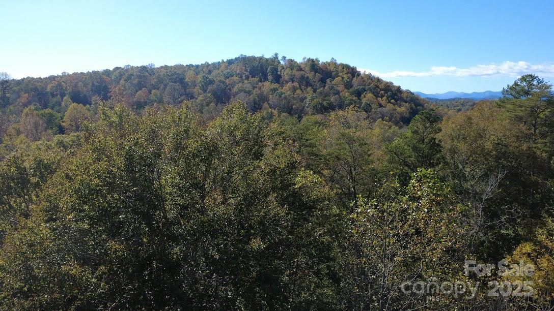 Clearwater Creek - Land