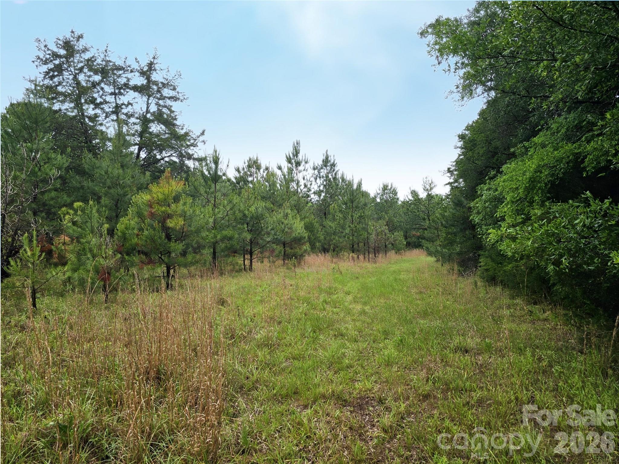 Located just outside (0.3 mi) the Fort Lawn town limits, this beautiful long-held family land offers location, mass, privacy and possibilities.  This natural setting has ±310 feet of frontage along Shirley Road and consists of easily-navigable woodlands and a few large open fields with convenient perimeter cuts.  An existing transmission line right-of-away is located near the very back of the property and a tiny triangular portion extends across Shirley Road.  Owner will not consider subdividing.  Property plat recorded in 2013.