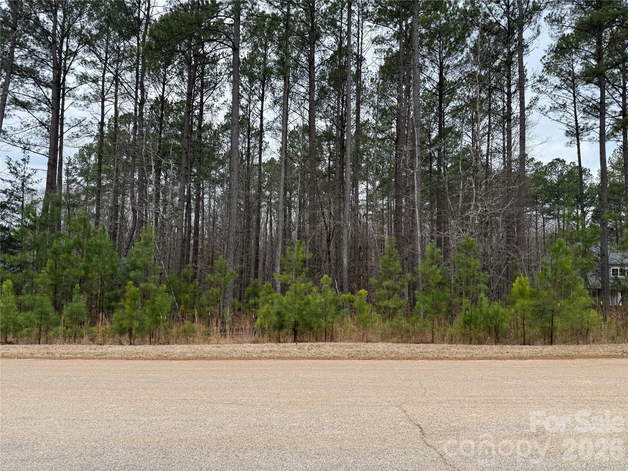 Riverchase Estates - Land