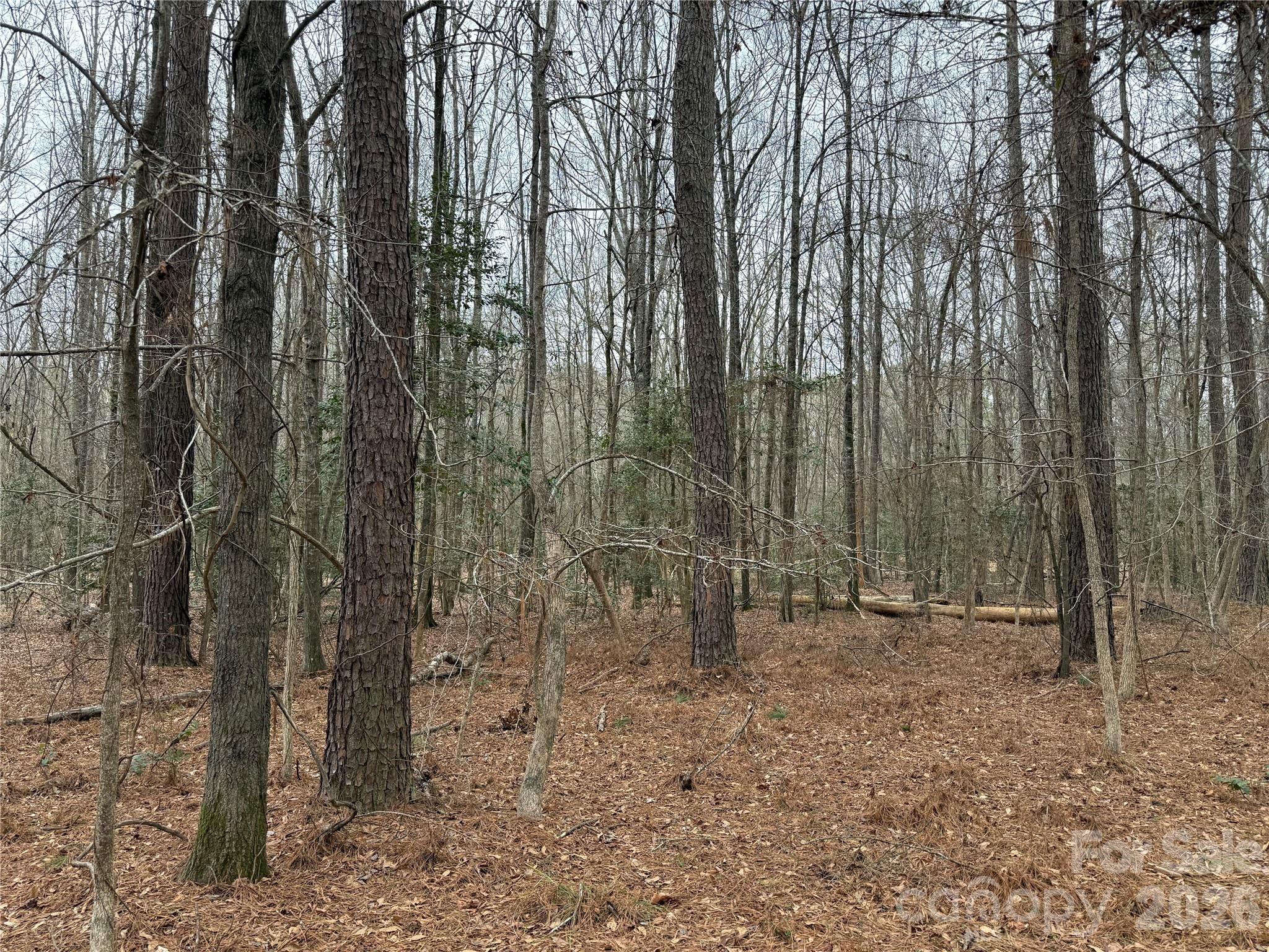 Riverchase Estates - Land