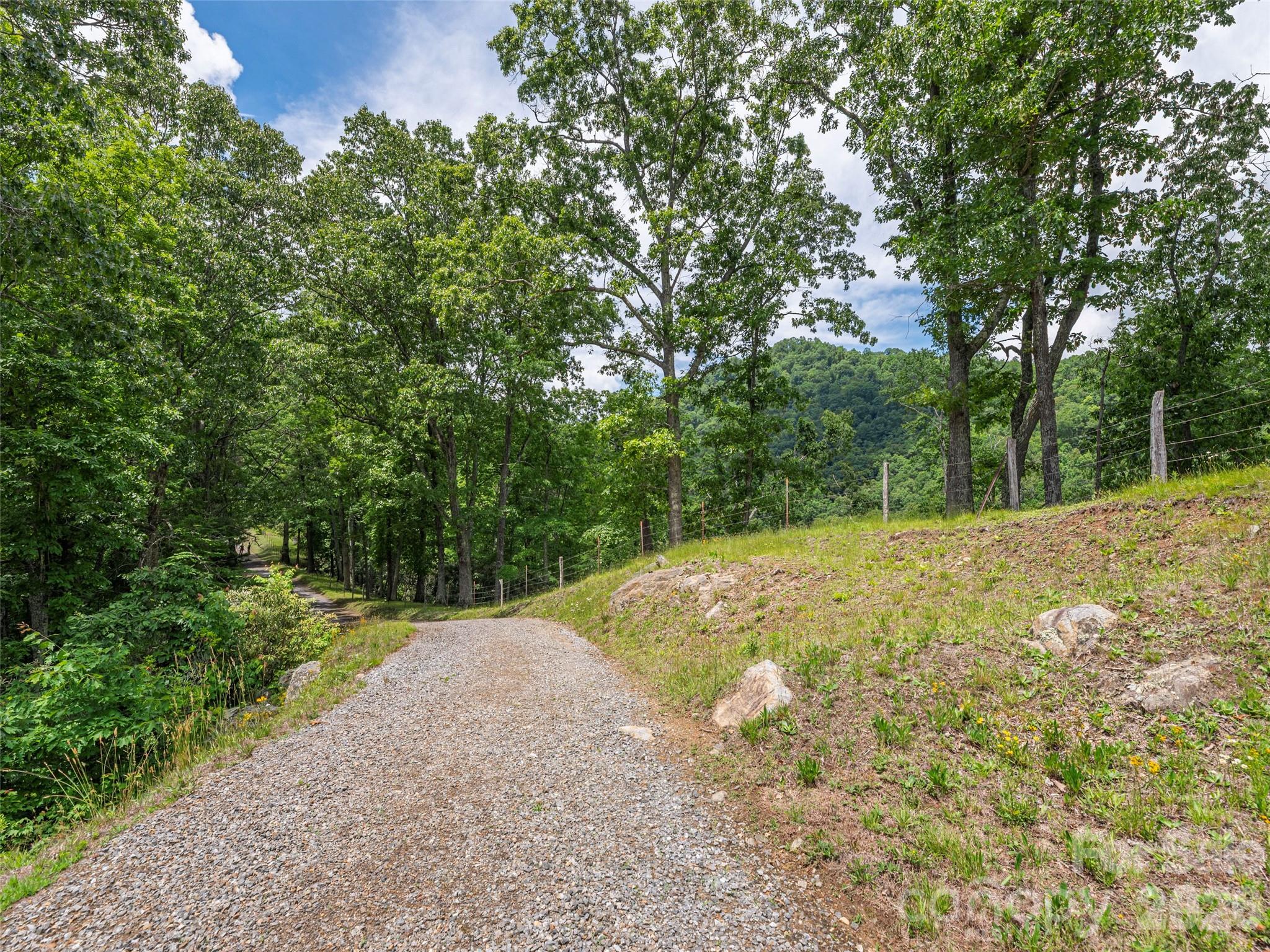 Rich Top Mountain - Land