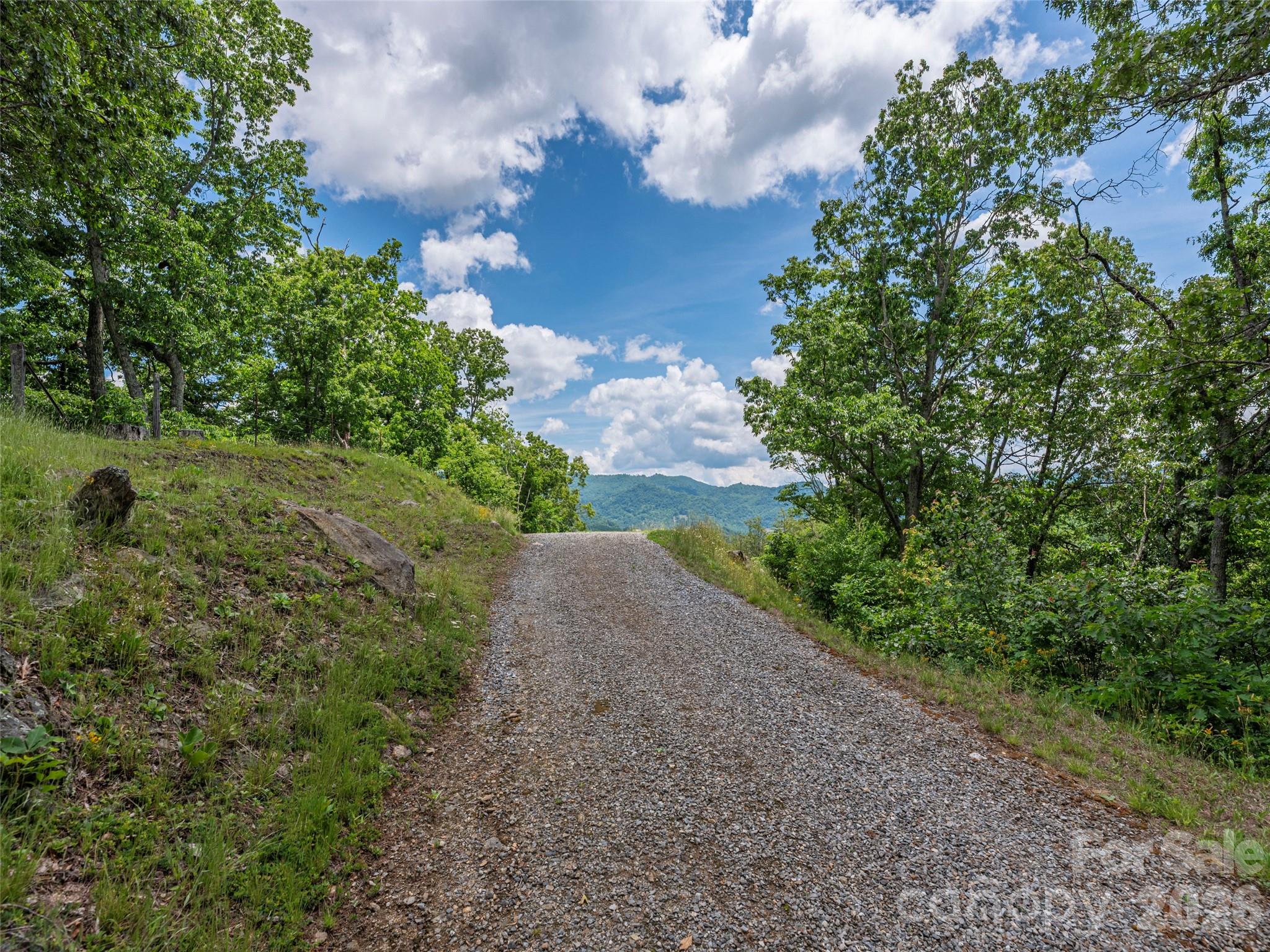 Rich Top Mountain - Land