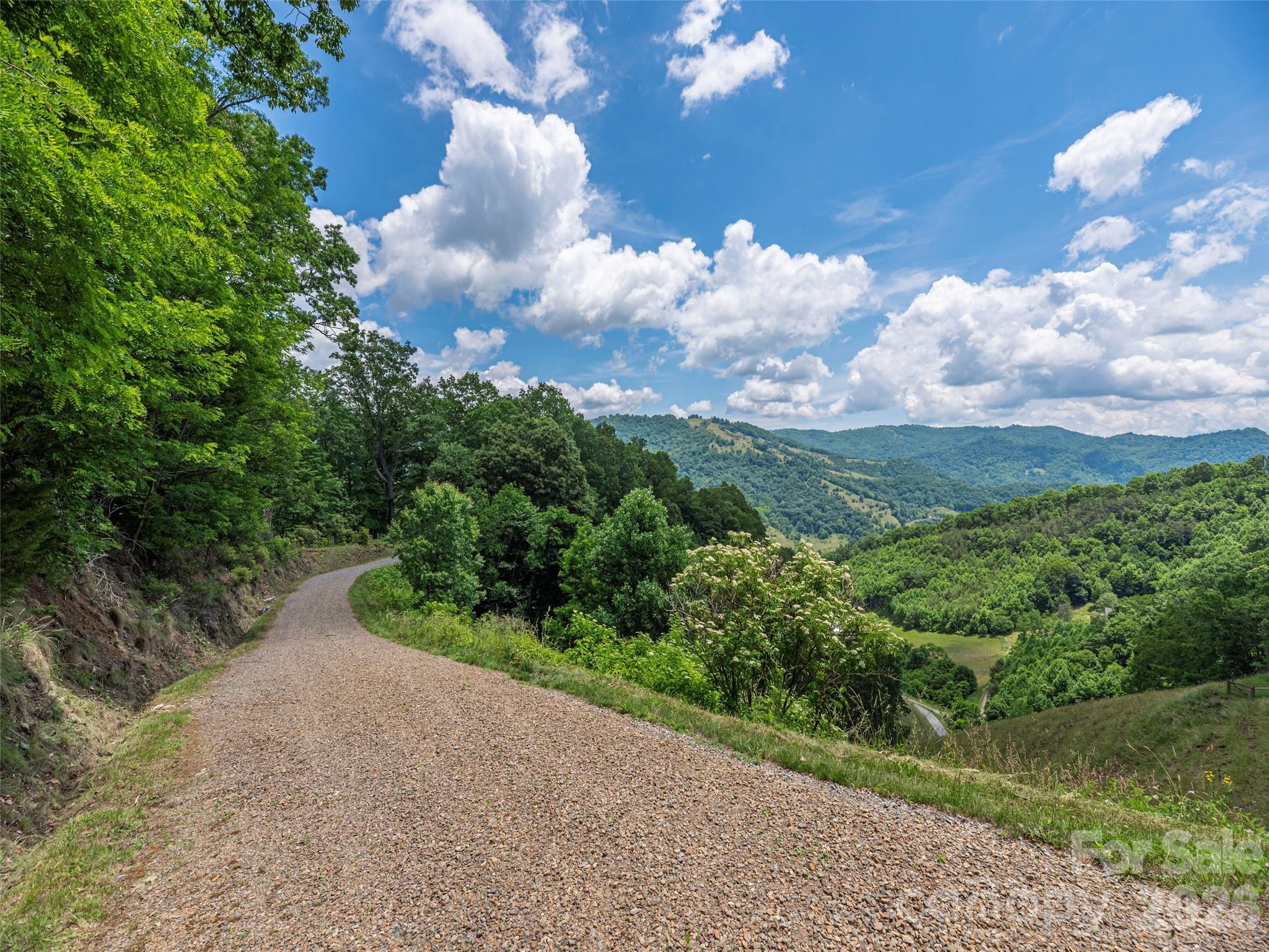 Rich Top Mountain - Land