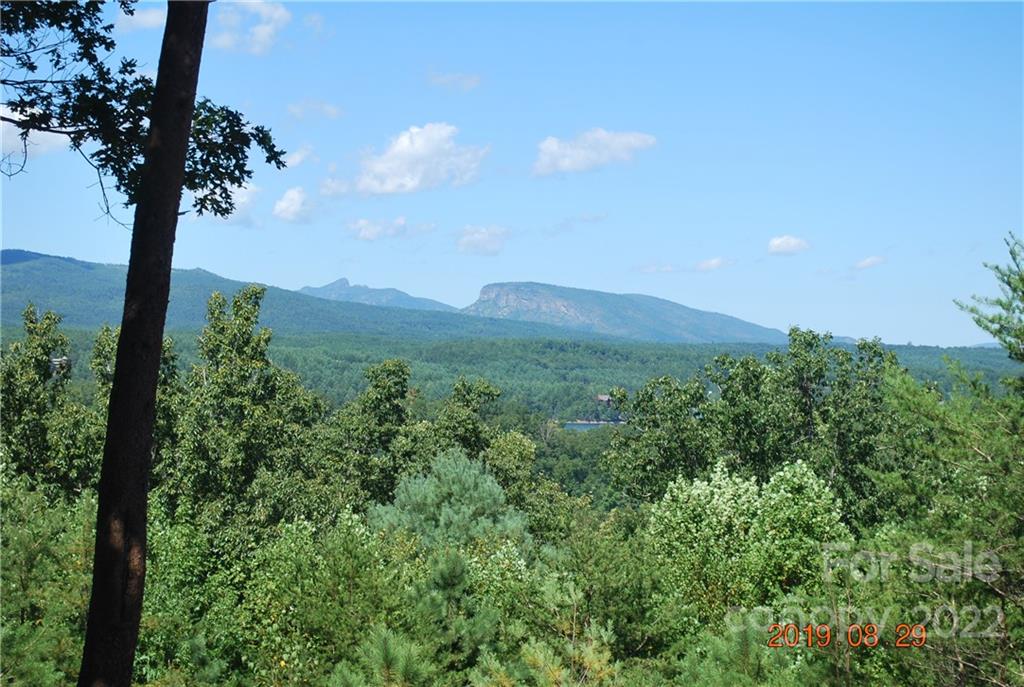 Fabulous Mountain Views along with beautiful pristine Lake James. This .79+/- acre off water lot is in gated Arbor on Lake James. This lot has spectacular lake/mountain views along with a great building site for you to build your perfect lake home.   This lot also has a deeded boat slip #13 for easy water access so you can enjoy Lake James recreation.  Convenient to Marion, WNC mountains and more.