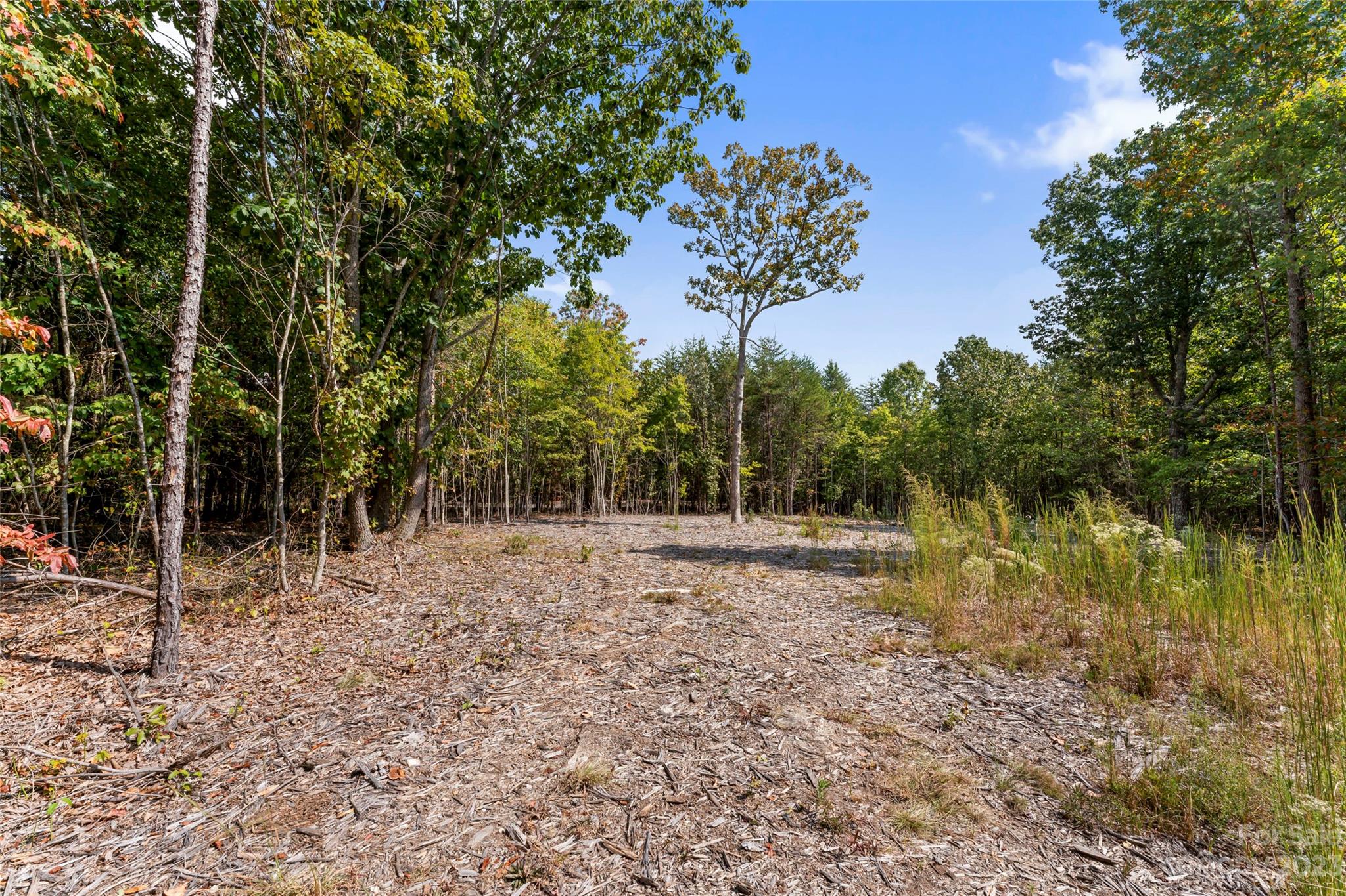 Pinnacles At Unity Grove - Land
