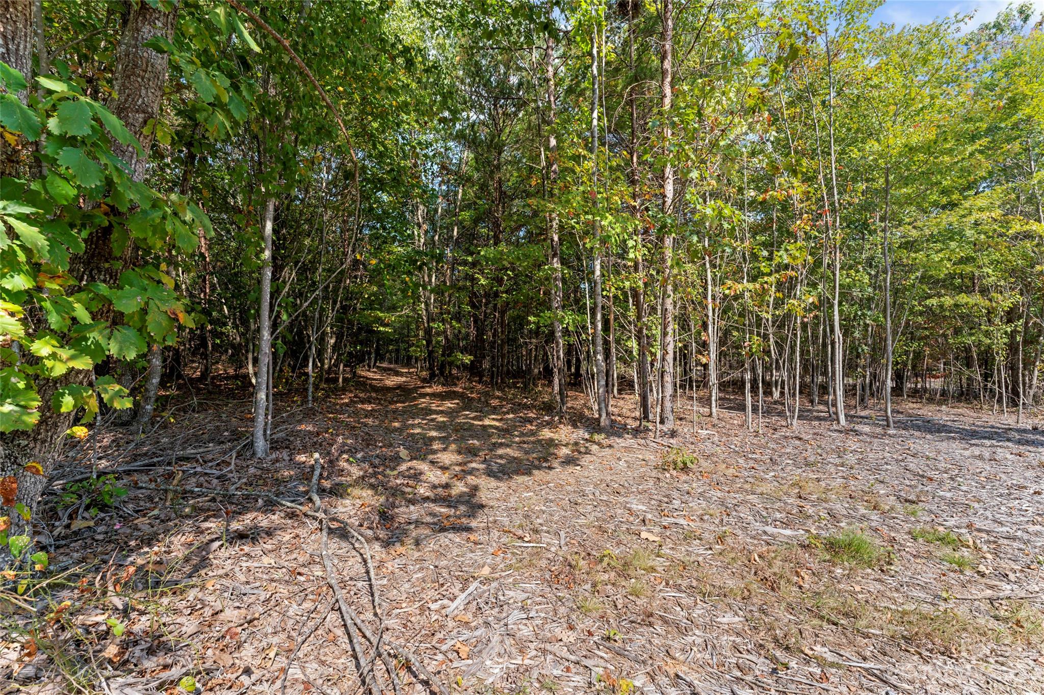 Pinnacles At Unity Grove - Land