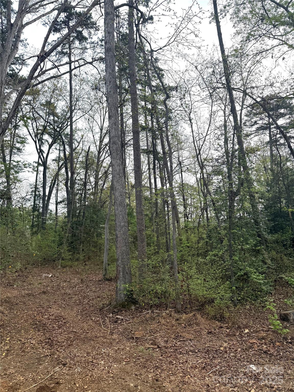 Uwharrie Point - Land
