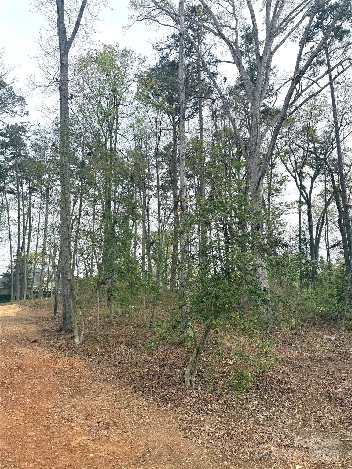 Uwharrie Point - Land