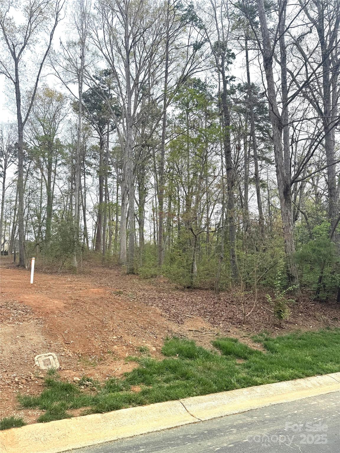 Uwharrie Point - Land