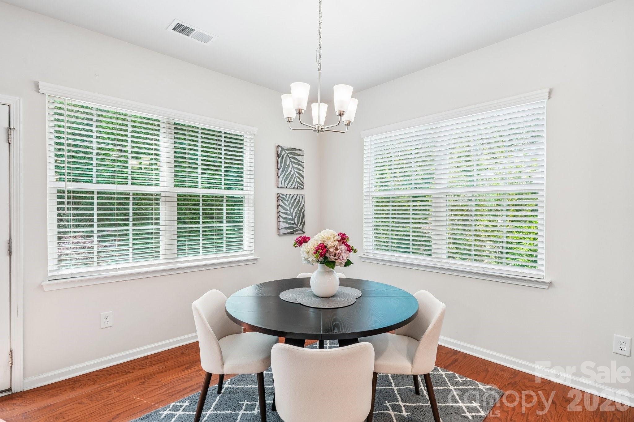 Imagery on Mtn Island - Residential