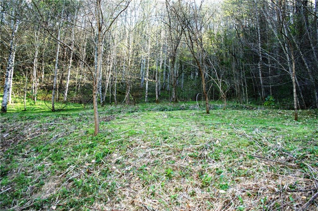 Mountain land tucked in a cove. Wooded, old farm house  "AS IS"  Recently surveyed. Property has a barn, some minimal pasture land that can be re-claimed. or garden space.  Private cove.  Big Laurel creek runs not far from property and i a stocked stream for great fishing. Approximately 9 miles from I-26.