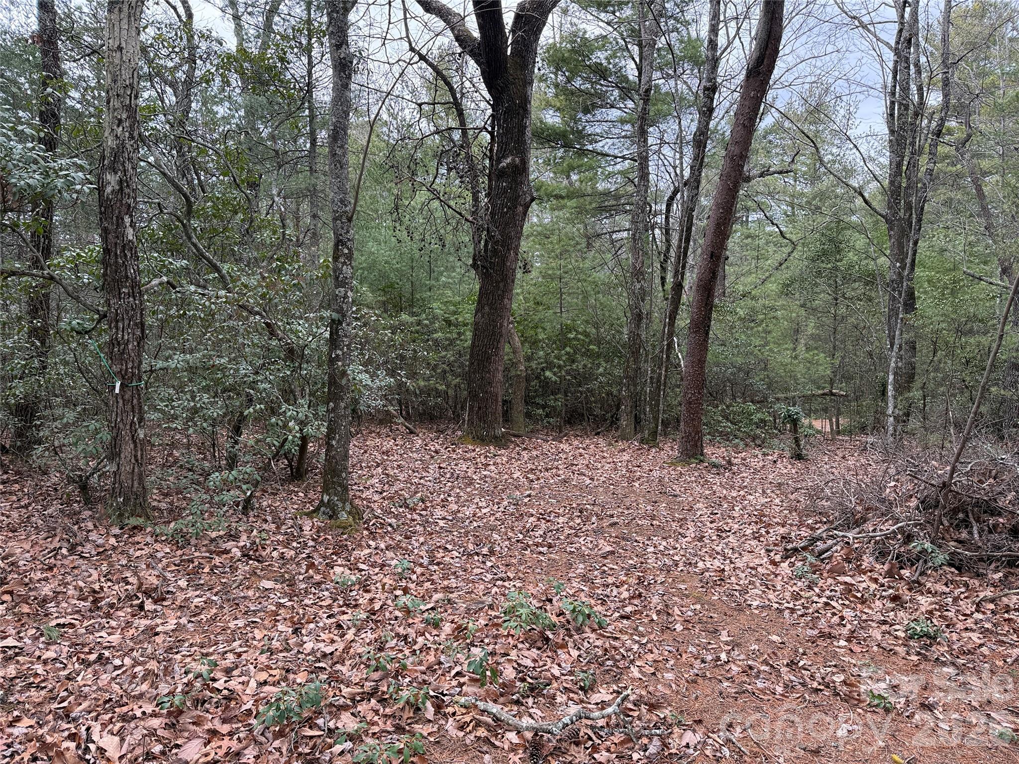 Buck Mountain - Land