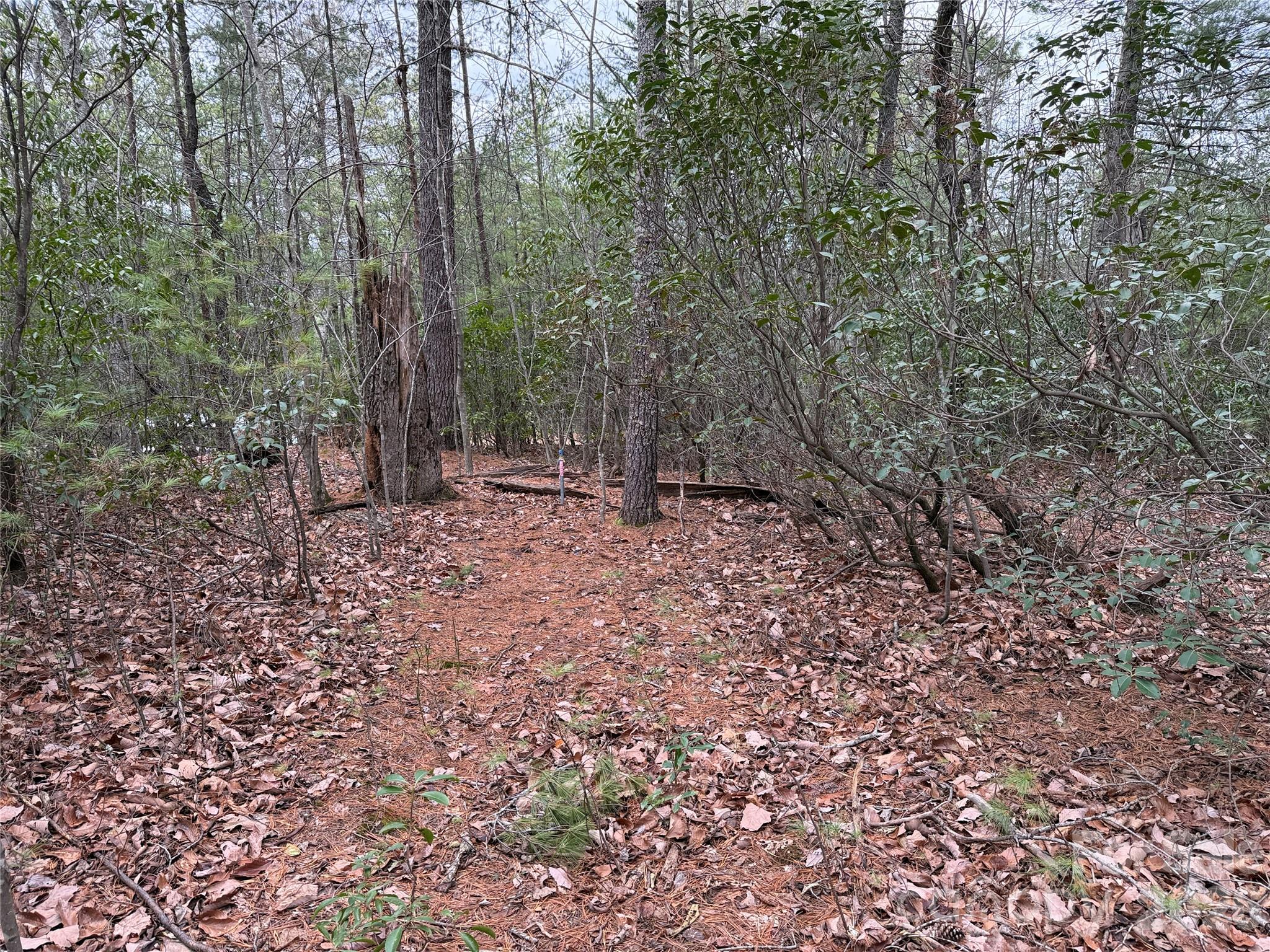 Buck Mountain - Land