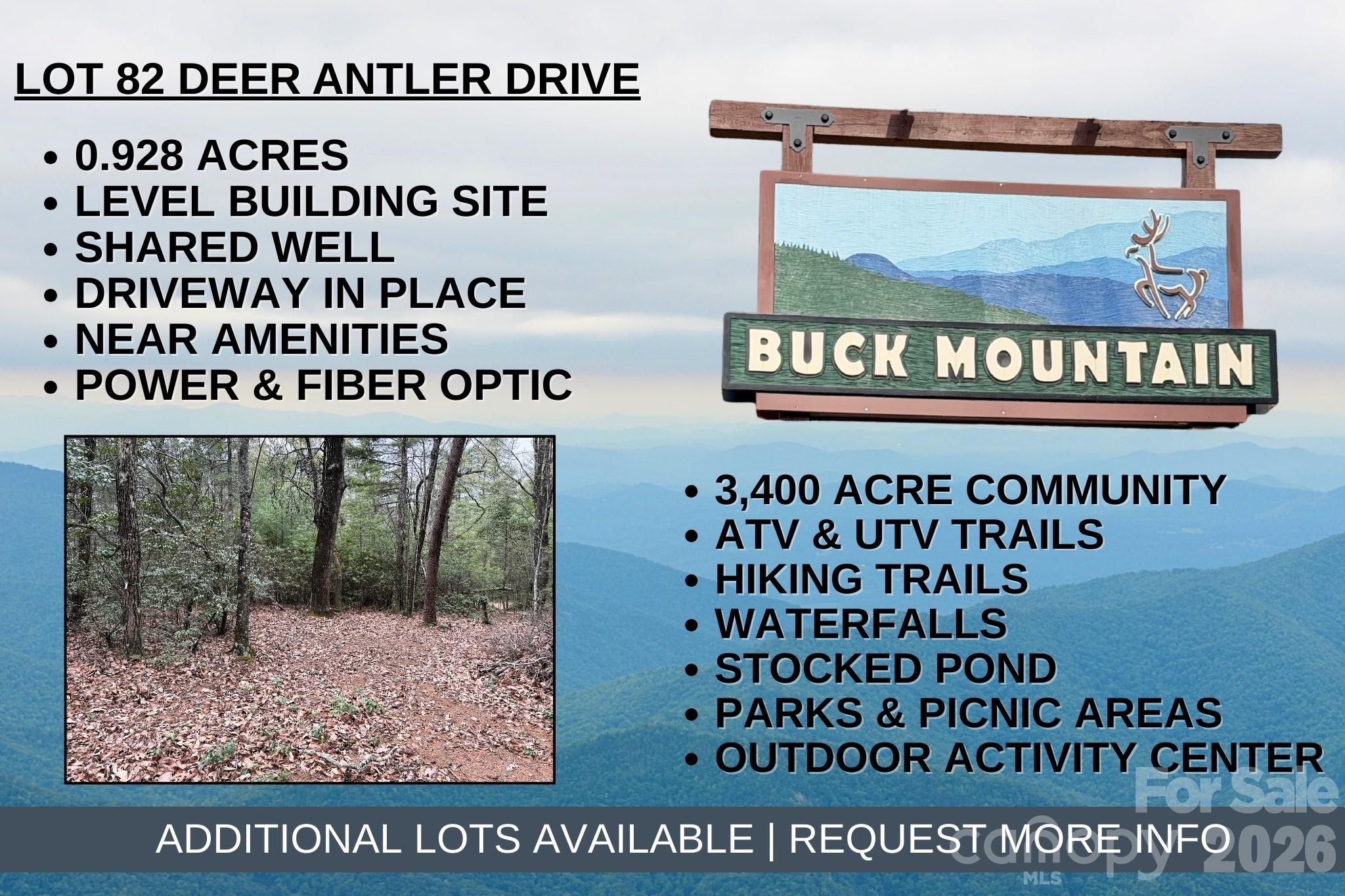 Buck Mountain - Land