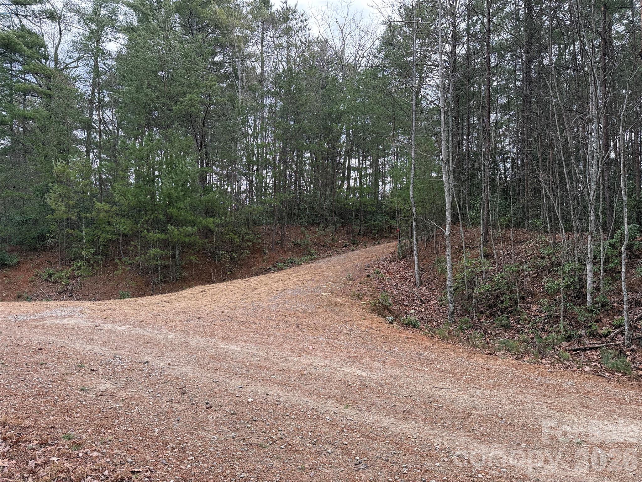 Buck Mountain - Land