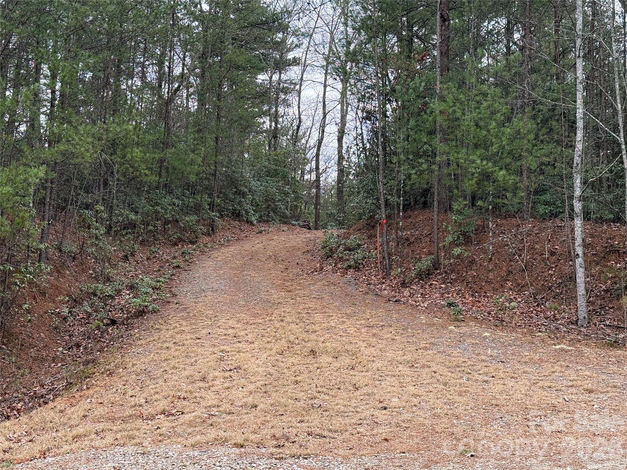 Buck Mountain - Land