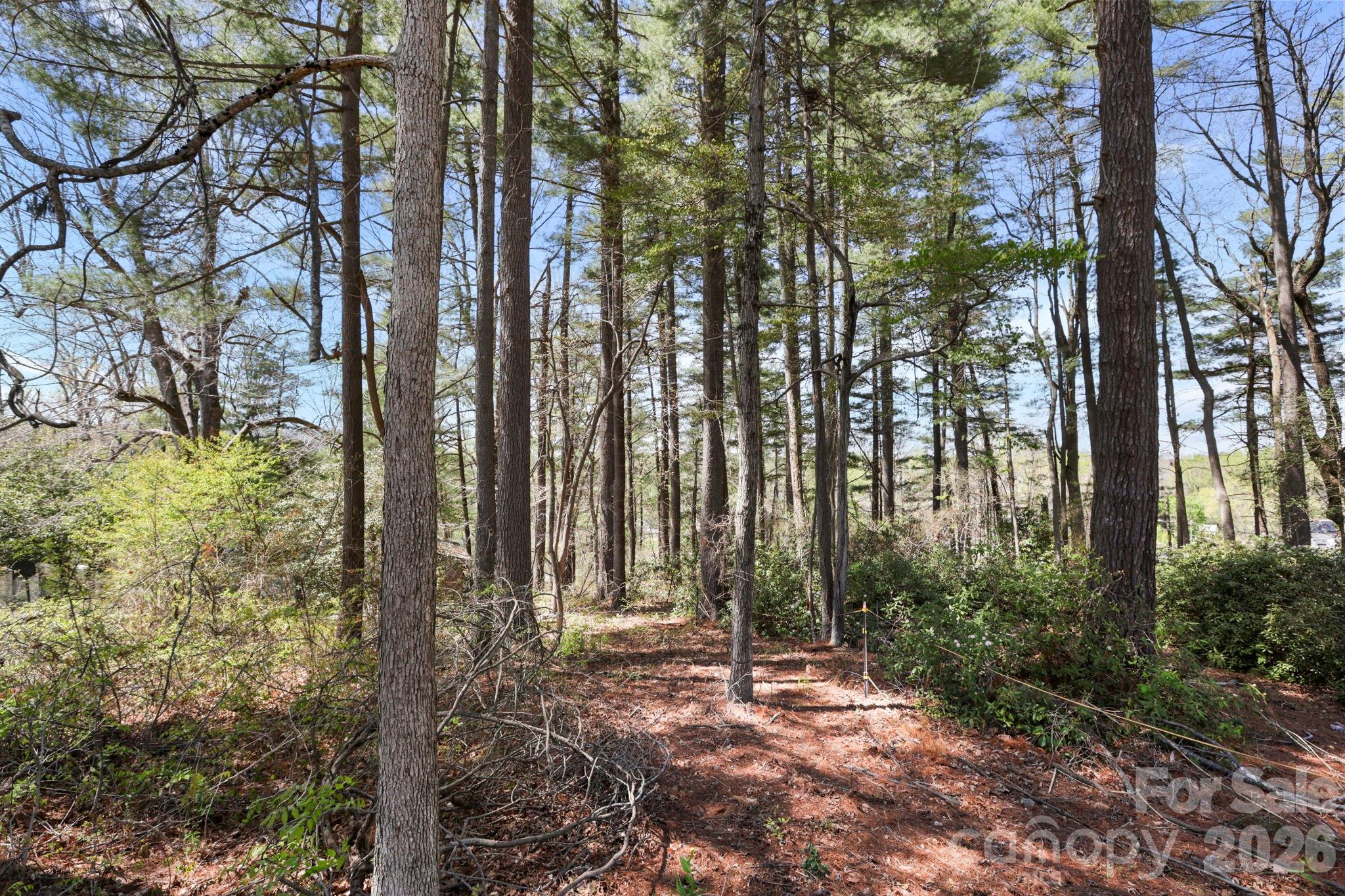 Toms Hill Park - Land