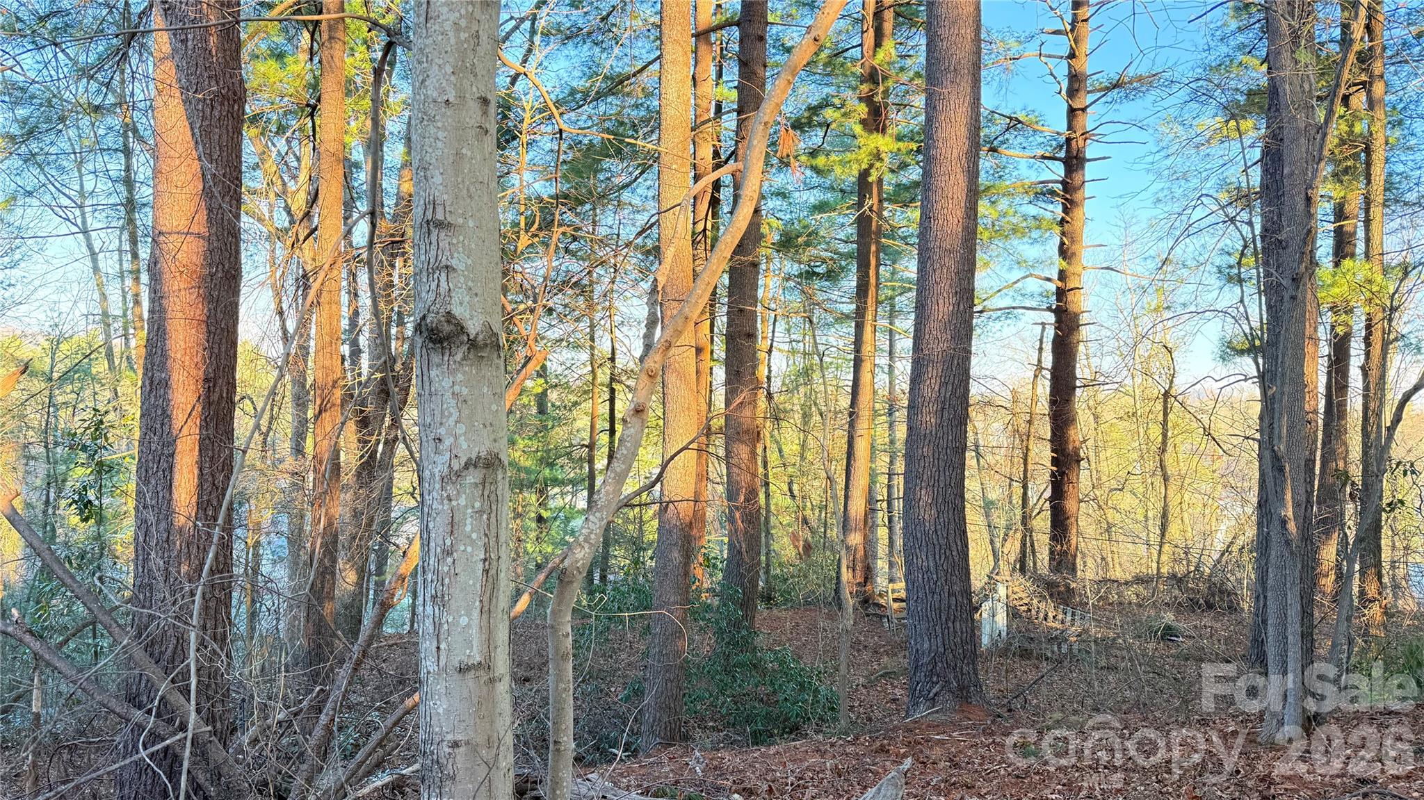 Toms Hill Park - Land
