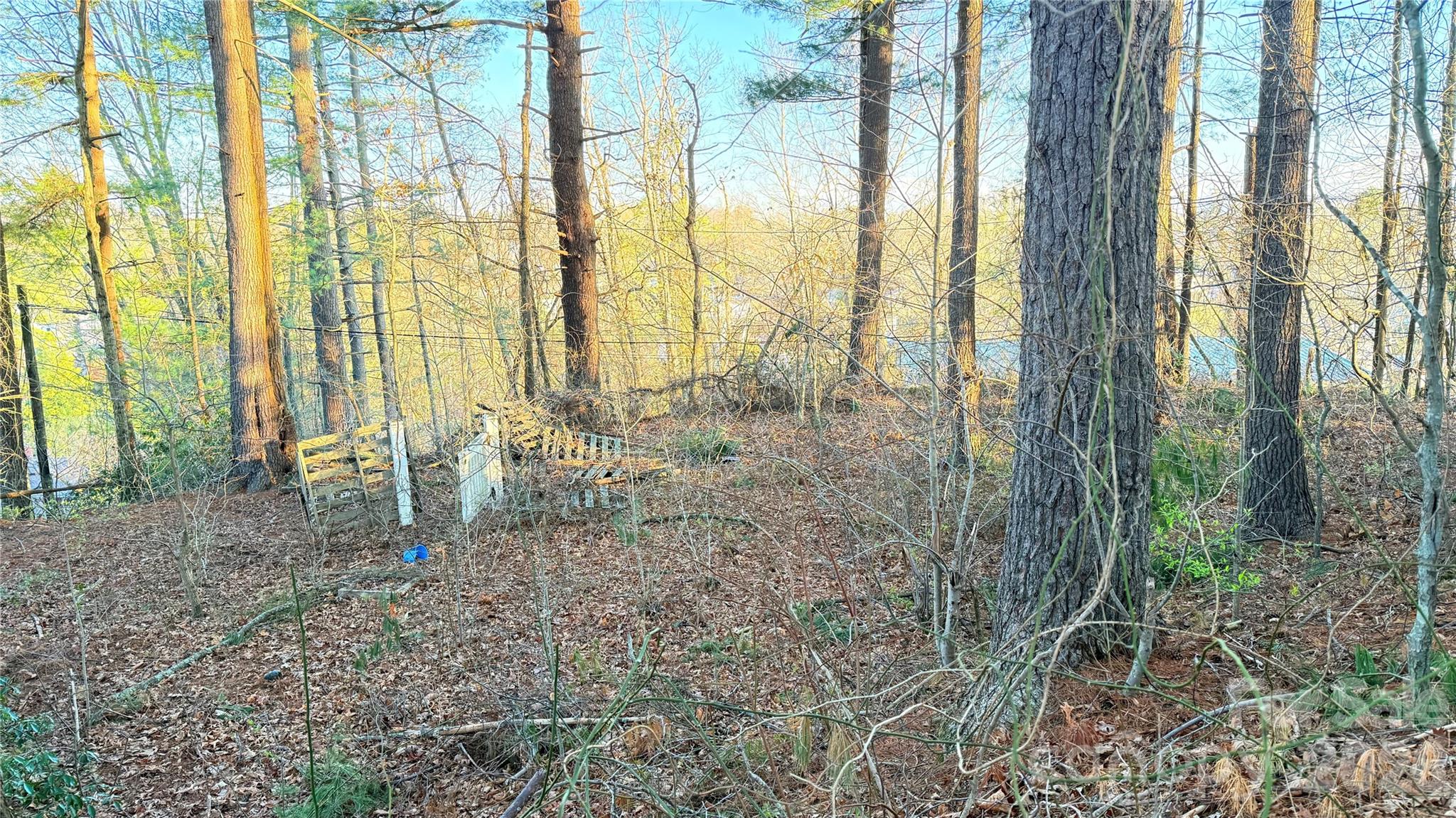 Toms Hill Park - Land