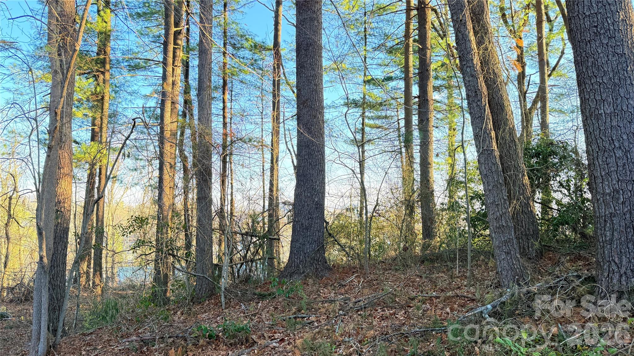 Toms Hill Park - Land