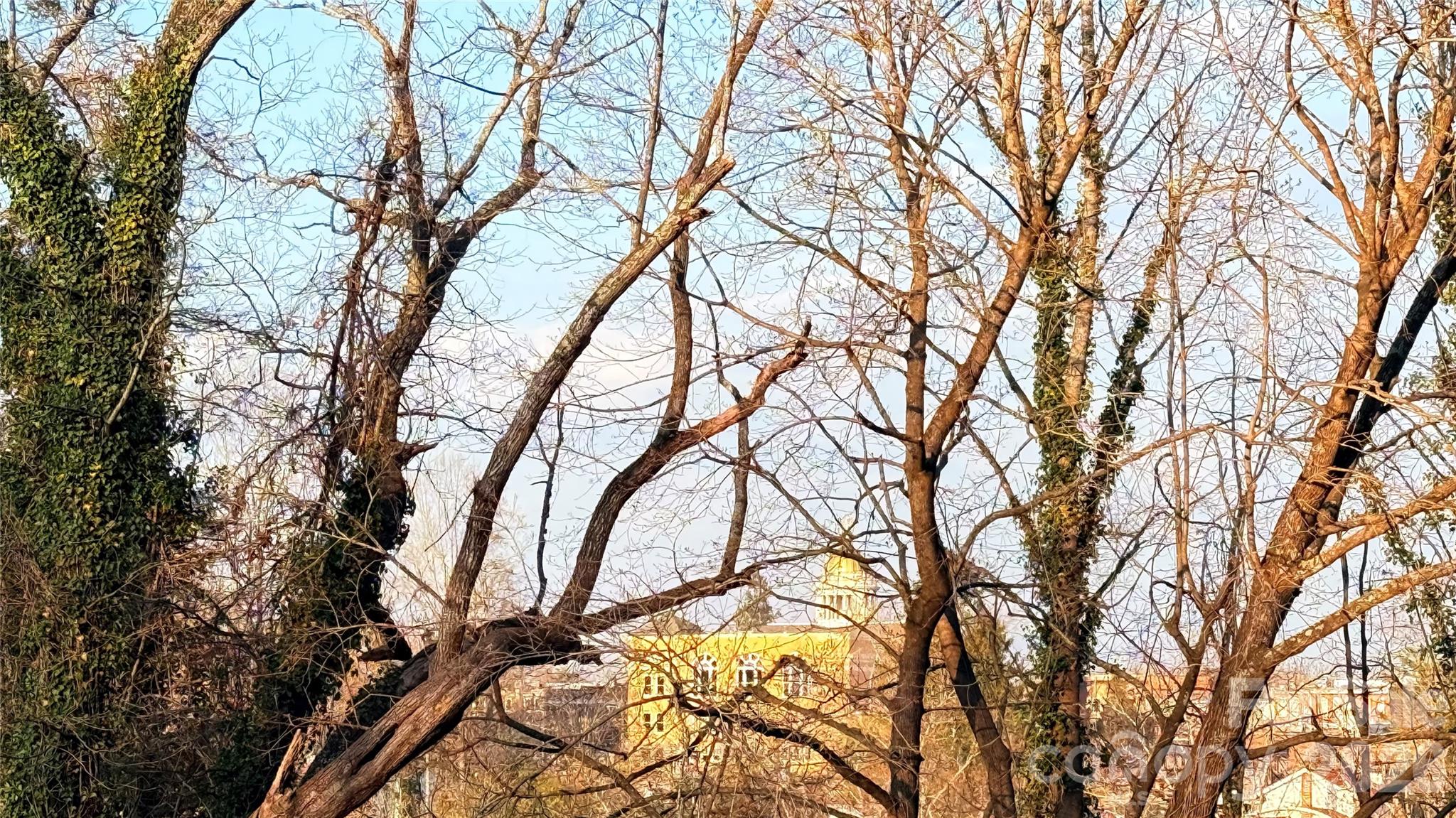 Toms Hill Park - Land