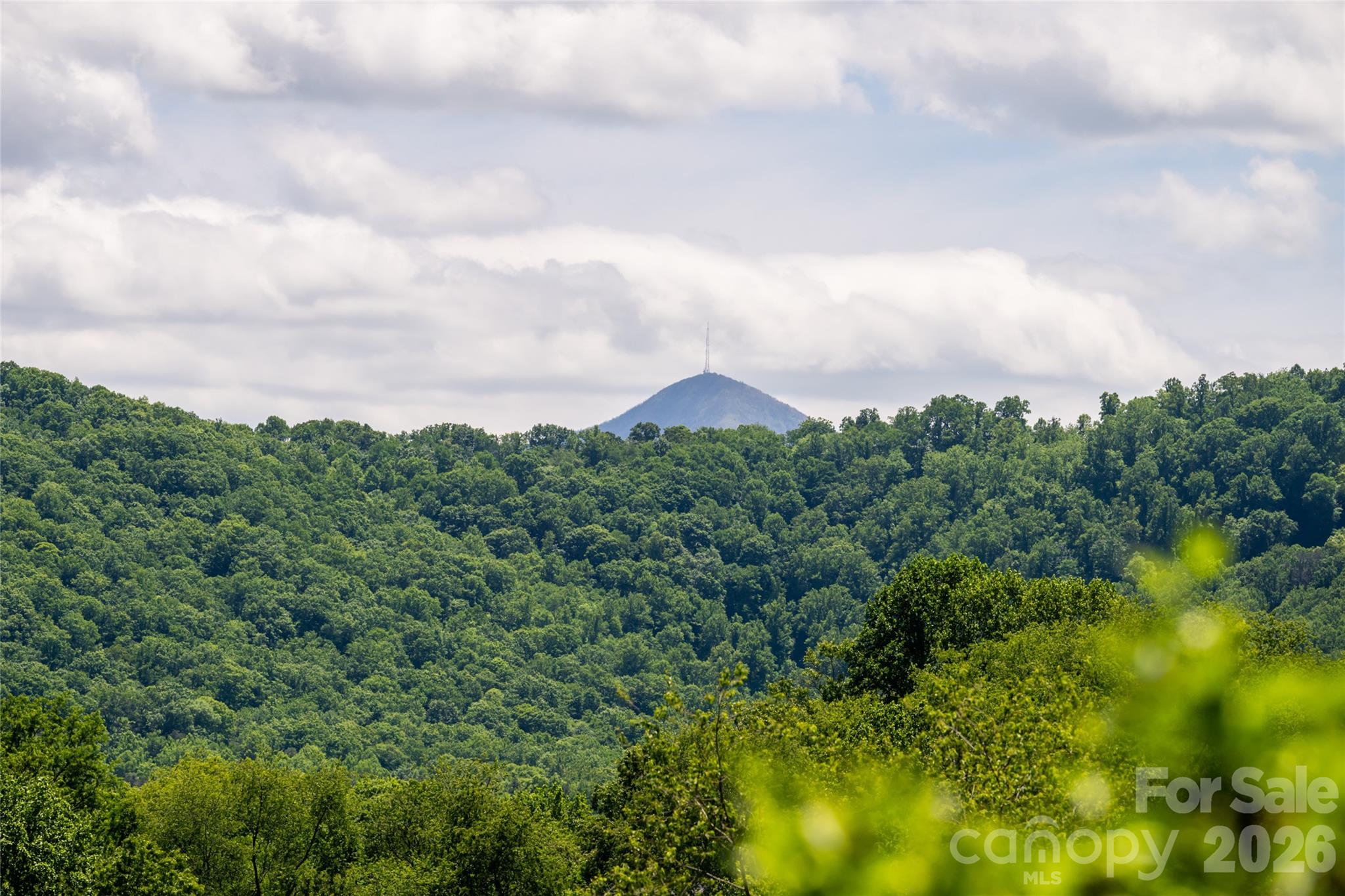 Stepp Jones Property - Residential