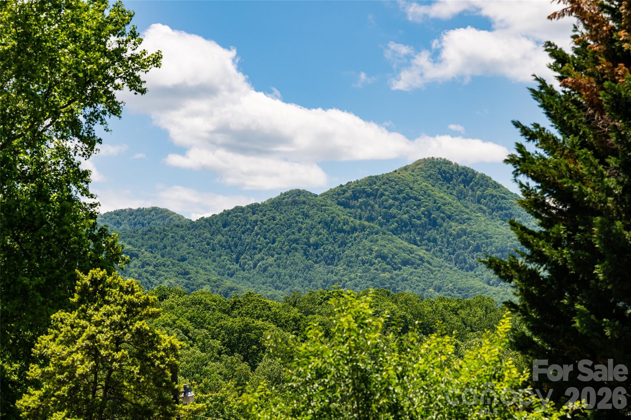 Stepp Jones Property - Residential