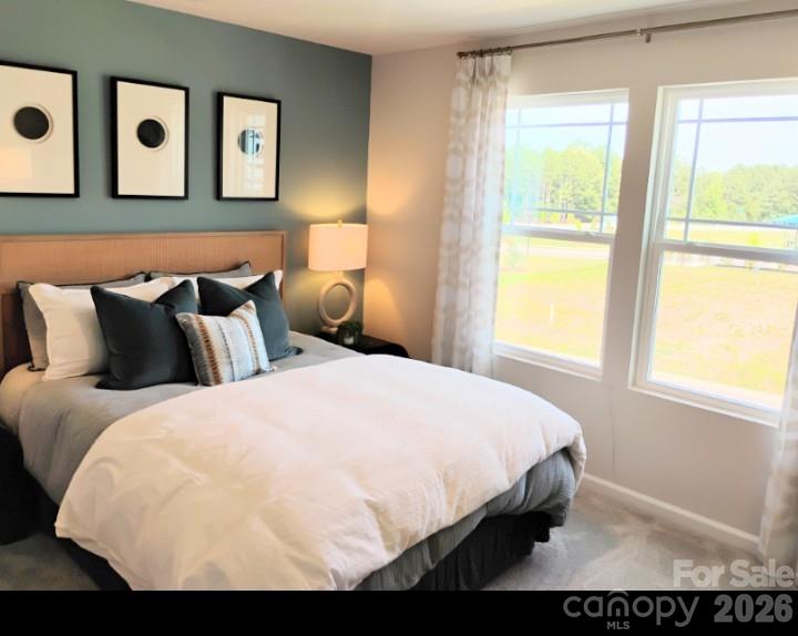 Porters Row - Residential