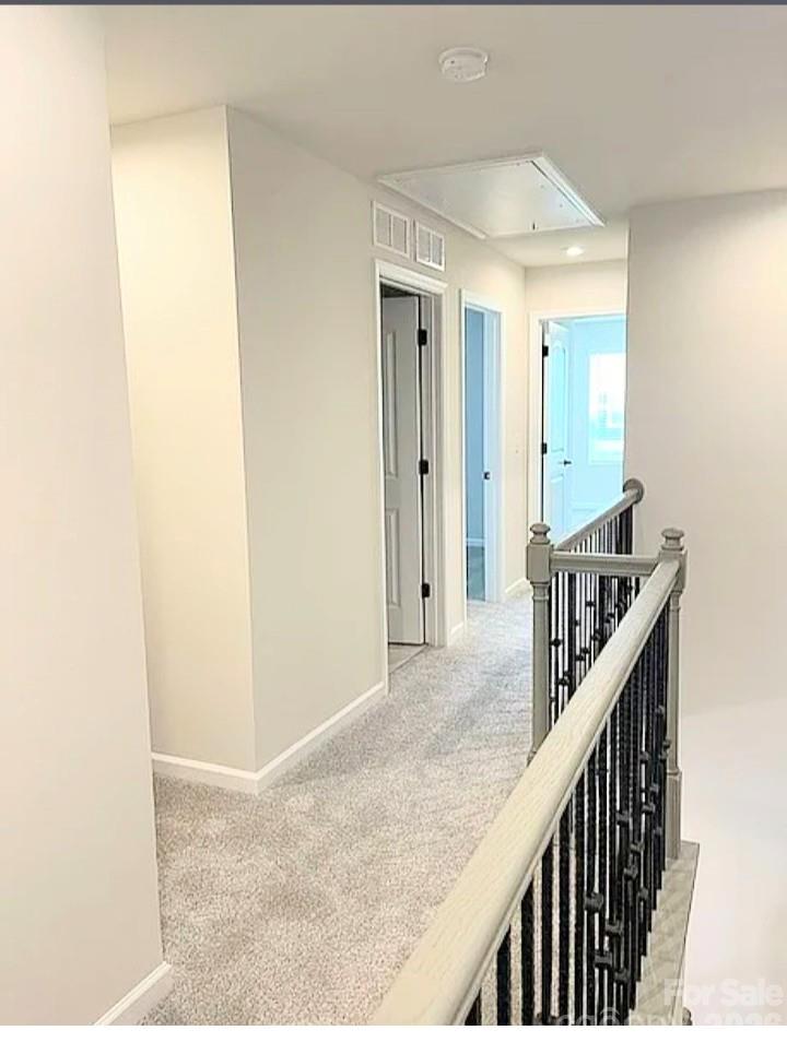 Porters Row - Residential