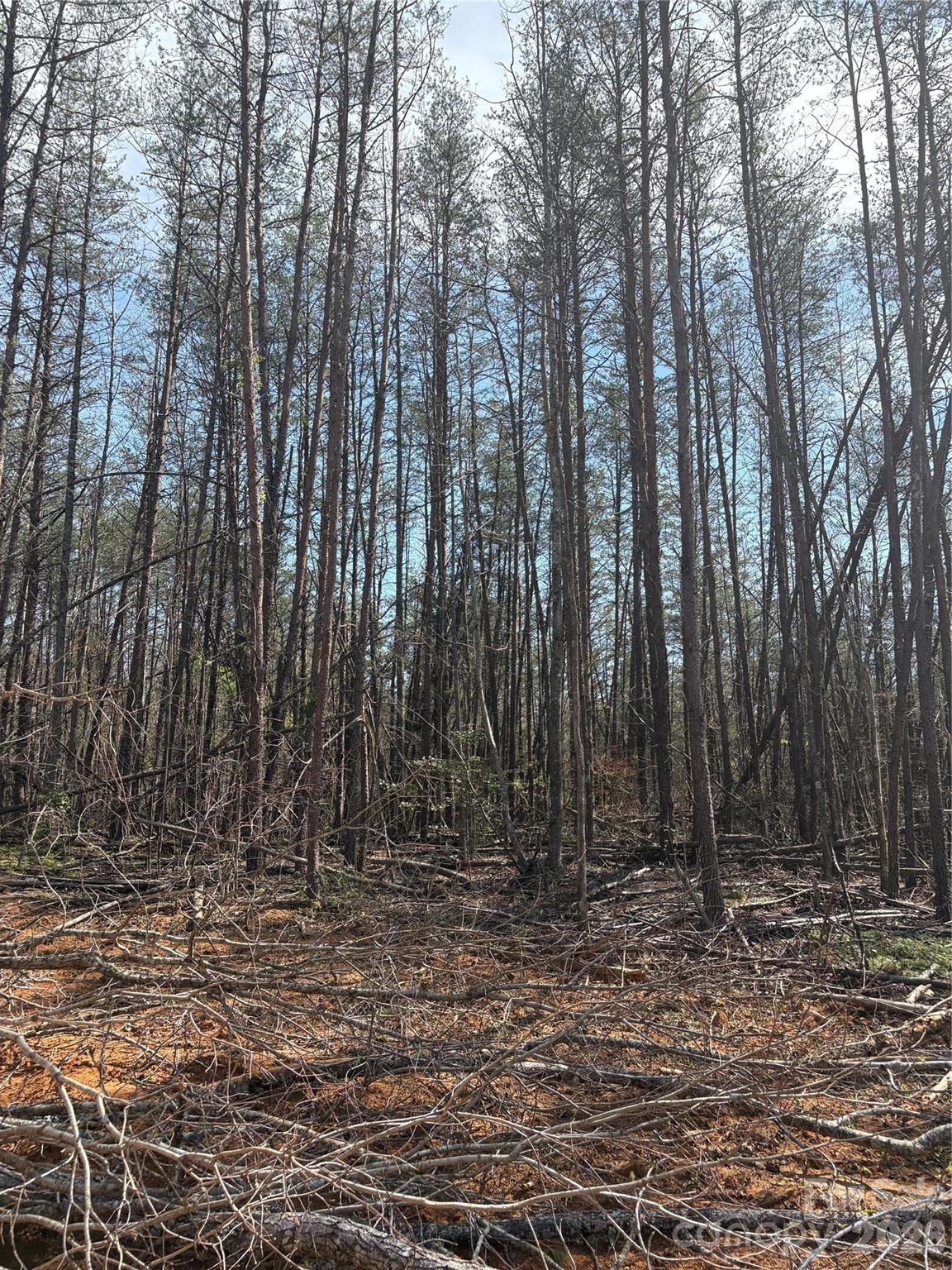 Beautiful wooded acreage with rolling terrain and a peaceful natural setting. This private tract offers a great mix of mature hardwoods, open cleared areas, and gentle slopes ideal for a future homesite . Enjoy mountain-style views, abundant wildlife, and plenty of space to explore while still being convenient to nearby amenities. A rare opportunity to own land with endless potential!