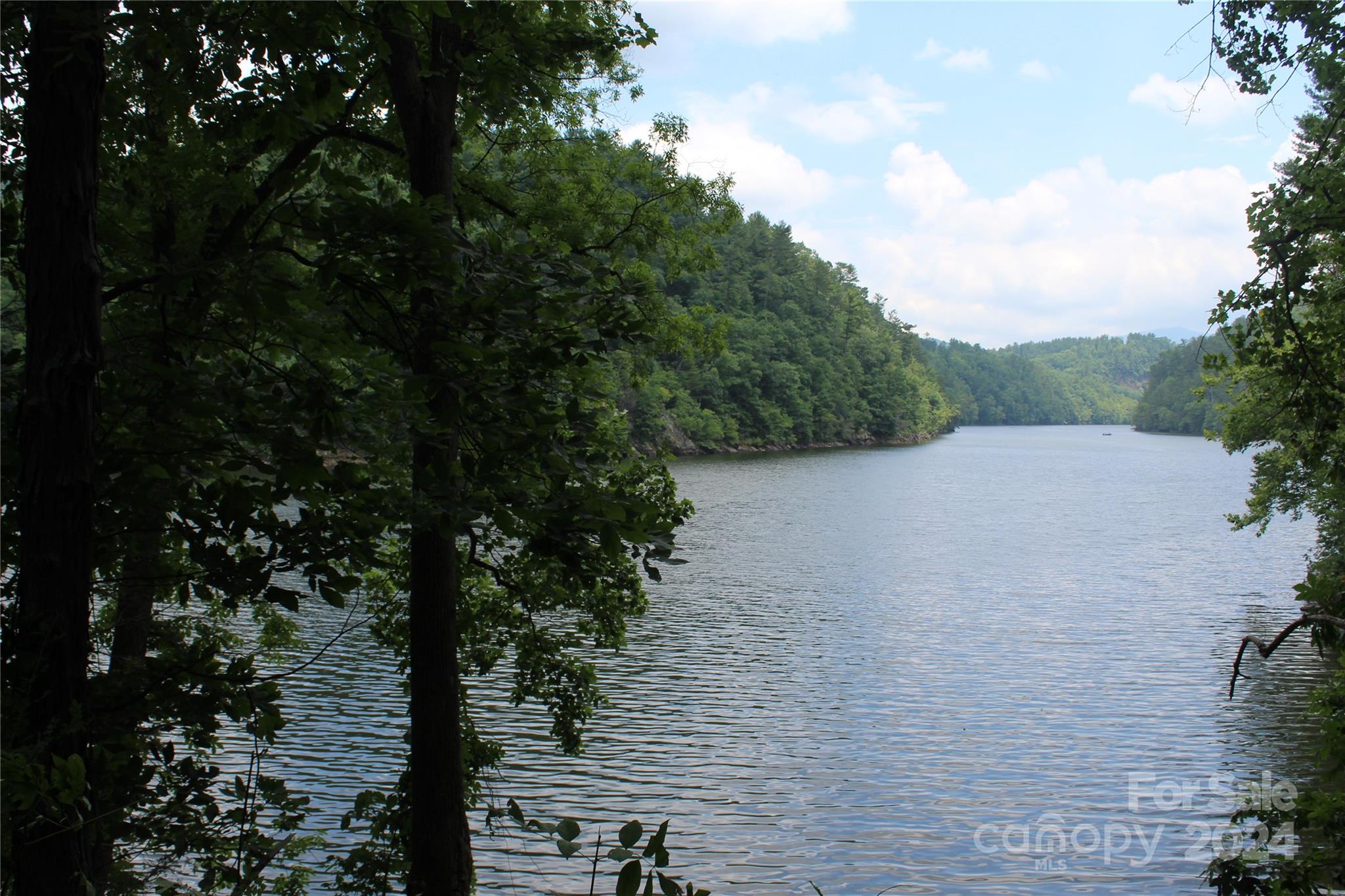 Welcome to your dream property! Nestled along the pristine shores of Waterville Lake, this stunning 8.08-acre parcel offers a rare opportunity to own a piece of paradise. With its expansive frontage on the tranquil lake and multiple prime house sites, this property is perfect for those seeking a private retreat or an exceptional investment opportunity. Enjoy direct access to the sparkling waters of Waterville Lake, ideal for boating, fishing, swimming, and a variety of water sports. Breathtaking panoramic views of the lake, provide a serene and picturesque backdrop year-round. Several prime locations throughout the property offer the potential for multiple dwellings, making it perfect for a family compound, vacation rentals, or a single luxurious estate. With its prime location, multiple house sites, and unparalleled lakefrontage, this property is a true gem. Whether you envision a private sanctuary or a profitable investment, the possibilities are endless. Contact us today!