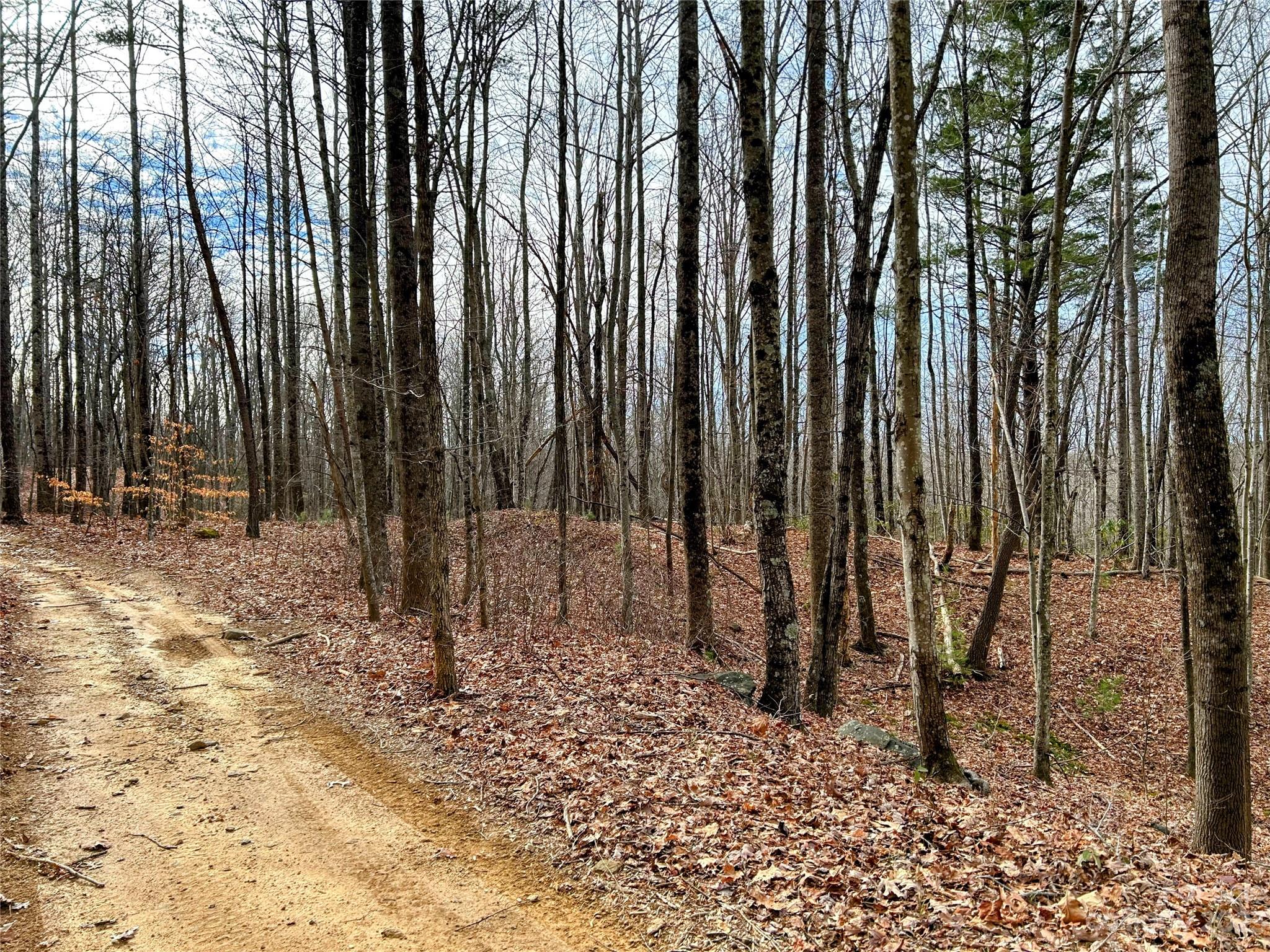 Little Warrior Mtn Estates - Land