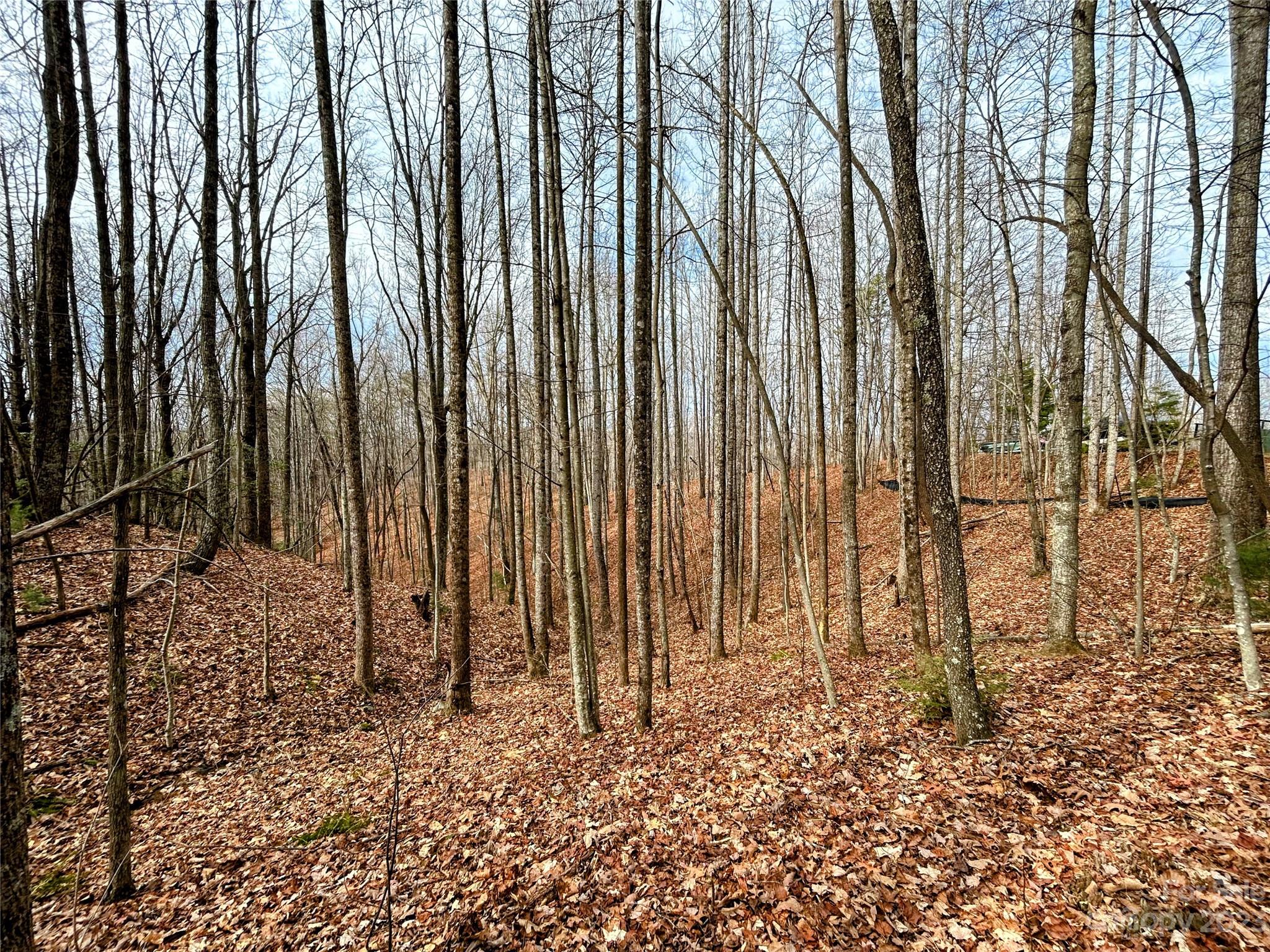 Little Warrior Mtn Estates - Land