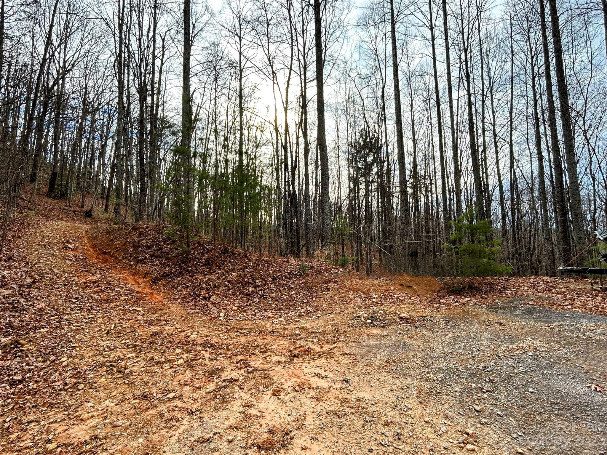 Little Warrior Mtn Estates - Land