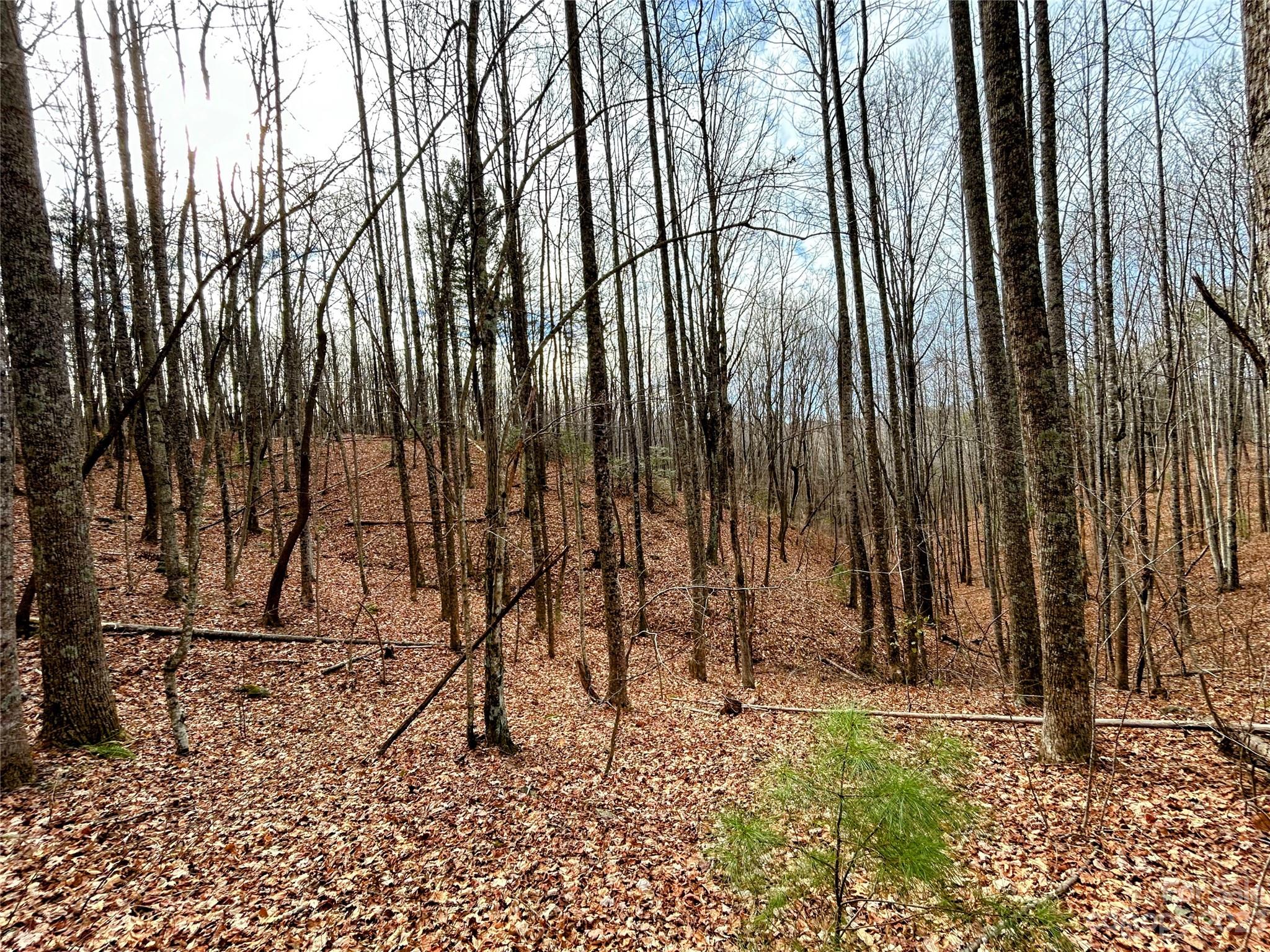 Little Warrior Mtn Estates - Land