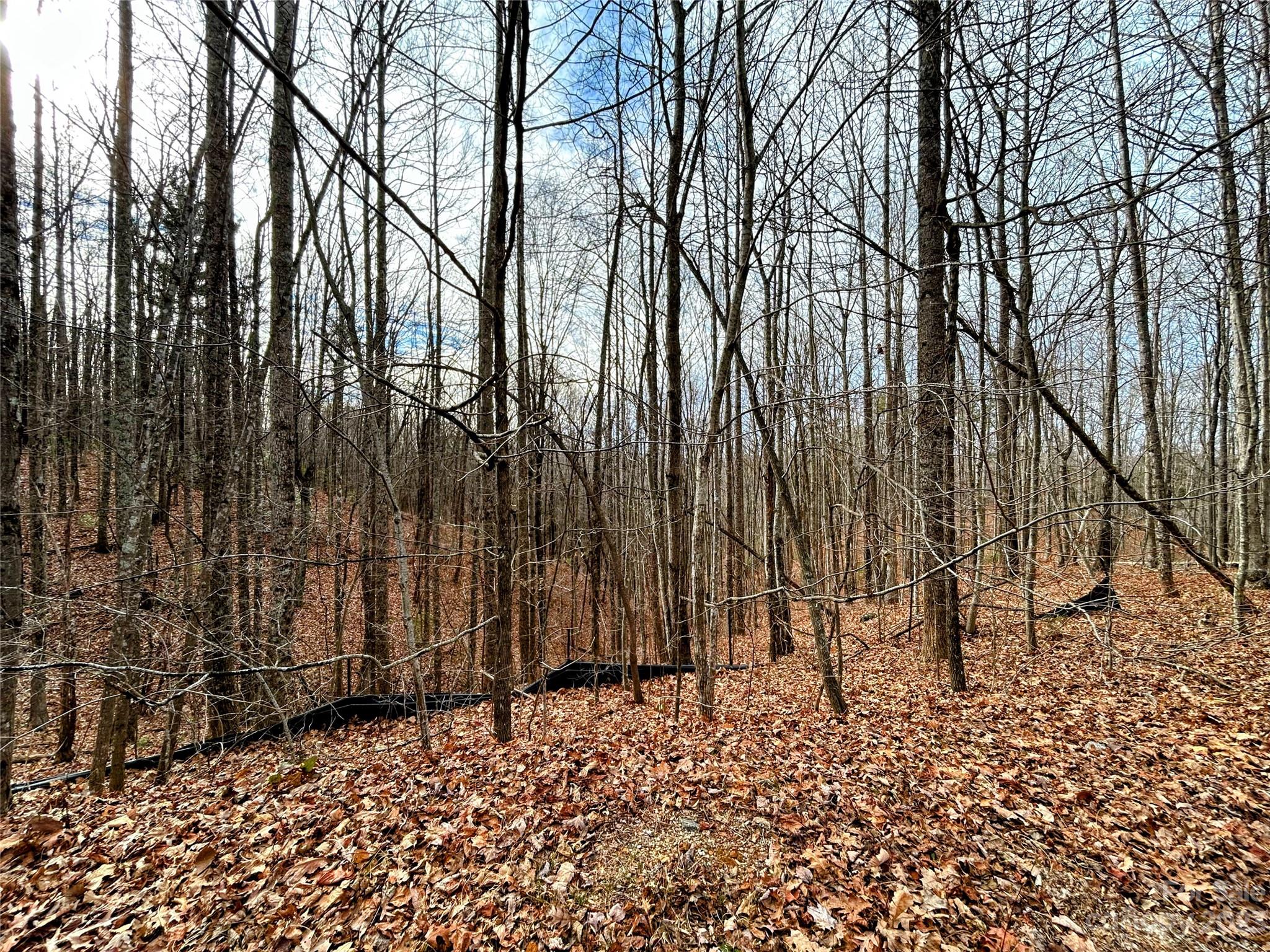Little Warrior Mtn Estates - Land