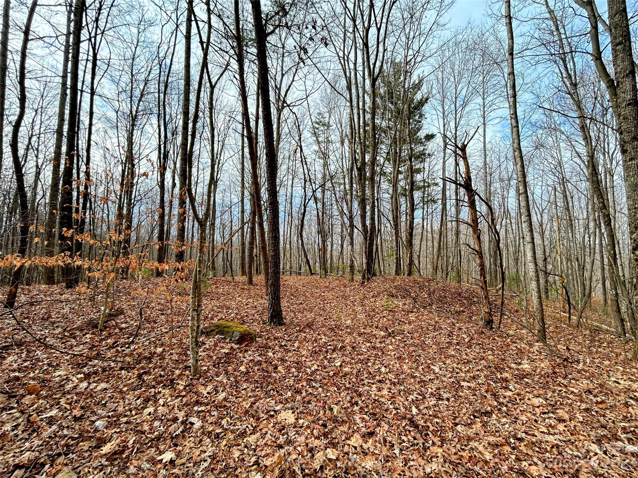 Little Warrior Mtn Estates - Land