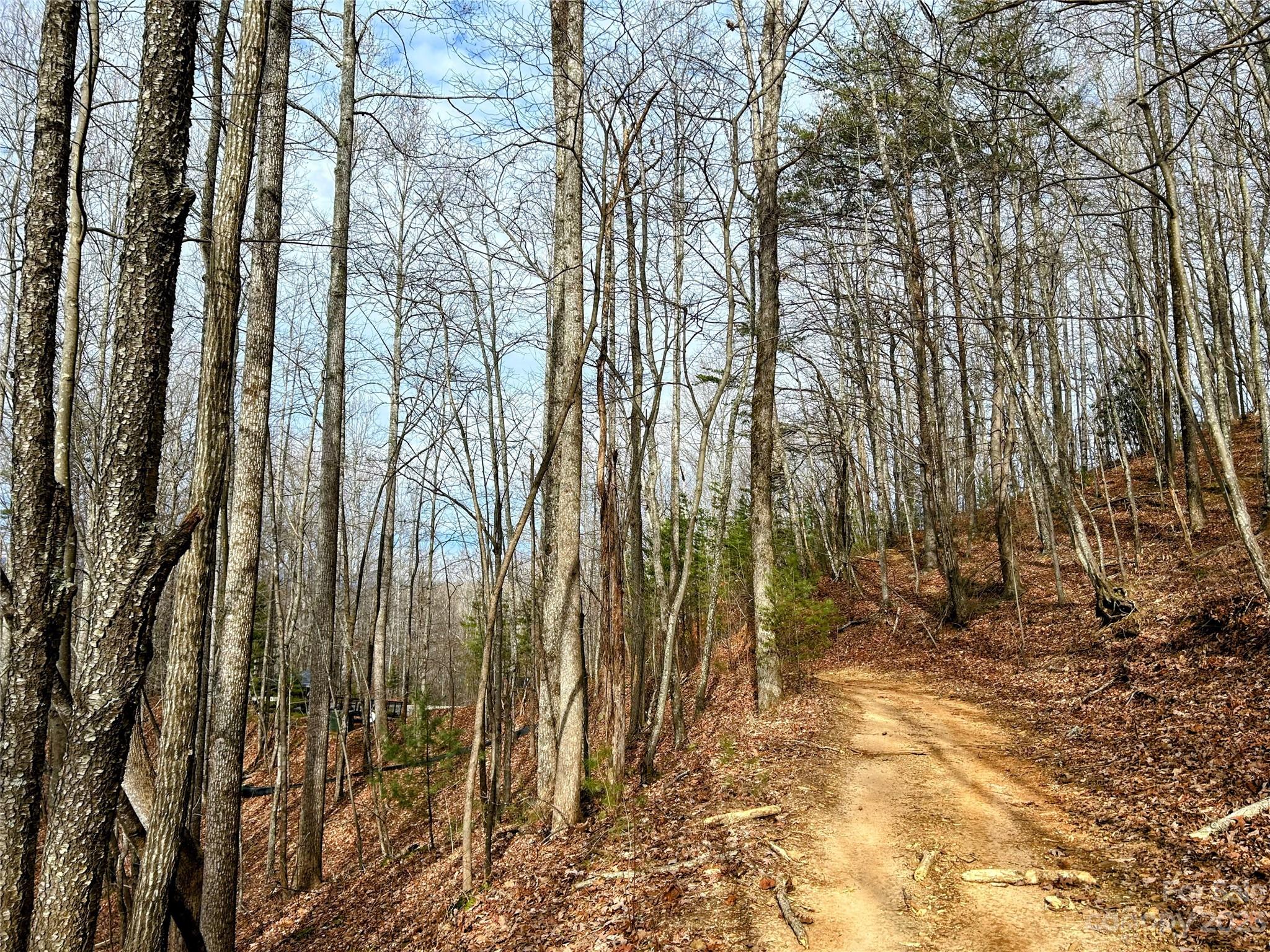 Little Warrior Mtn Estates - Land