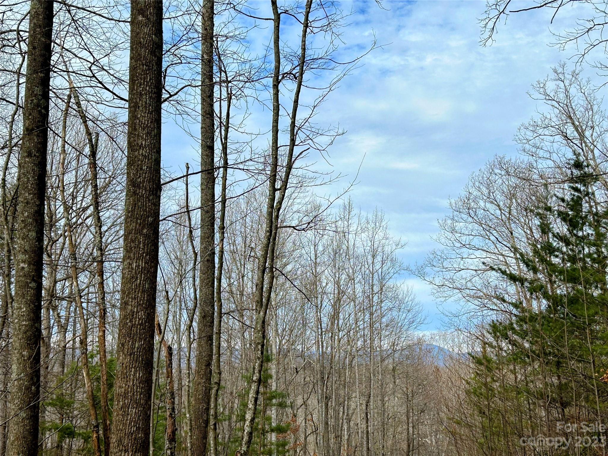 Little Warrior Mtn Estates - Land